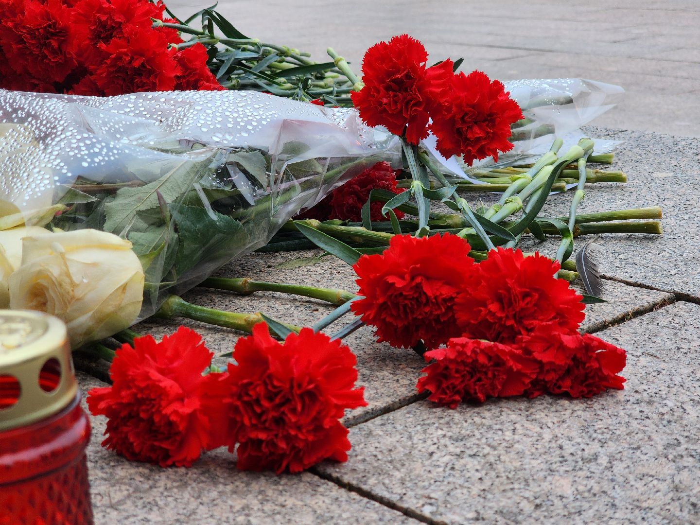 вертикалки, Луховицы, Сталинградская битва, ВОВ,