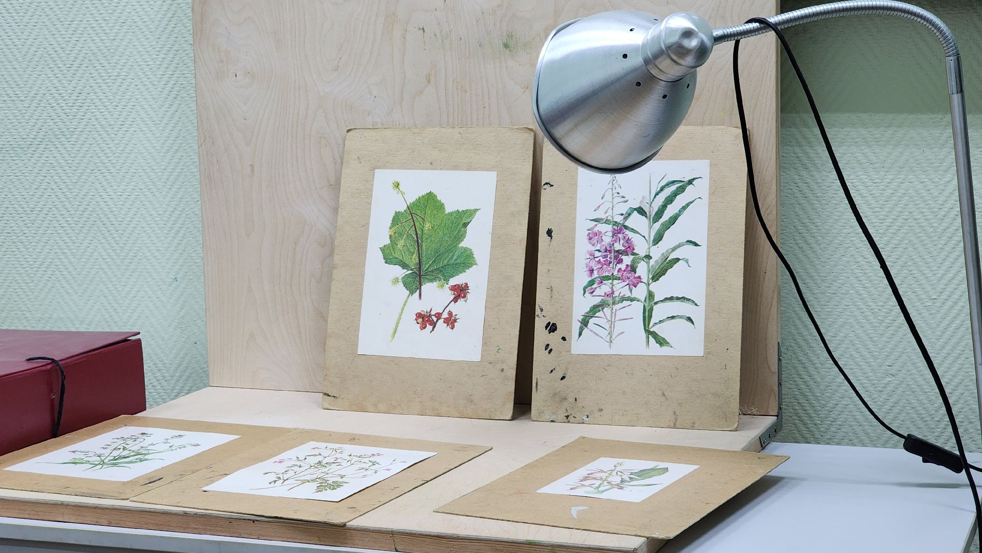 художественная школа, дополнительное образование, дети, Ногинск, Богородский городской округ,