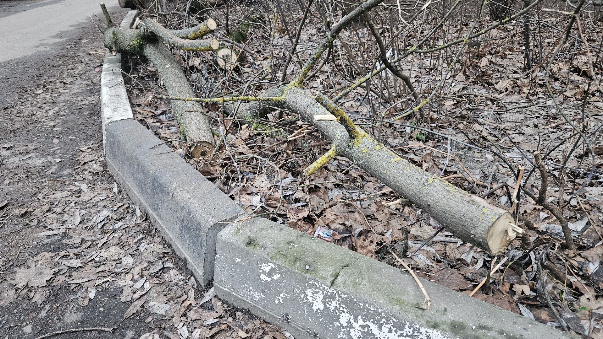 благоуйстройство, Жуковский, выездная администиация,