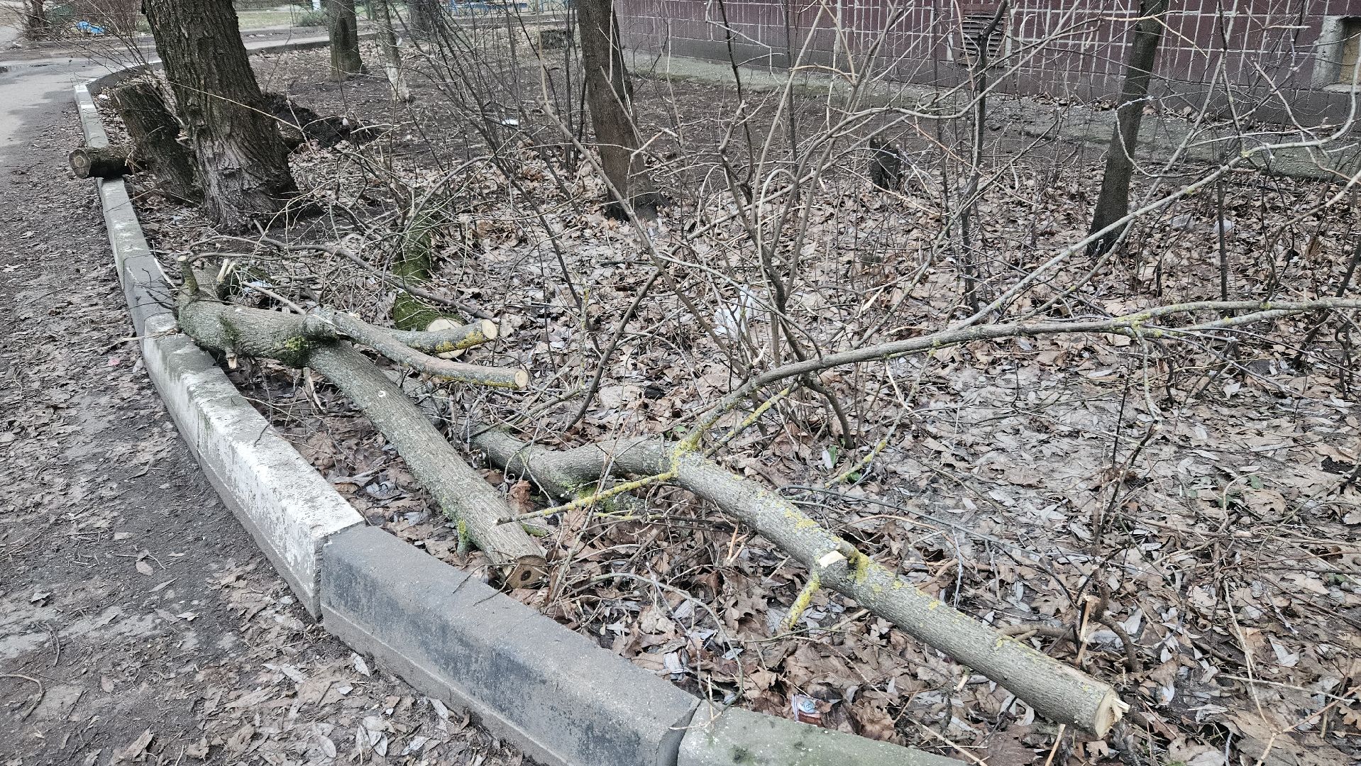 благоуйстройство, Жуковский, выездная администиация,