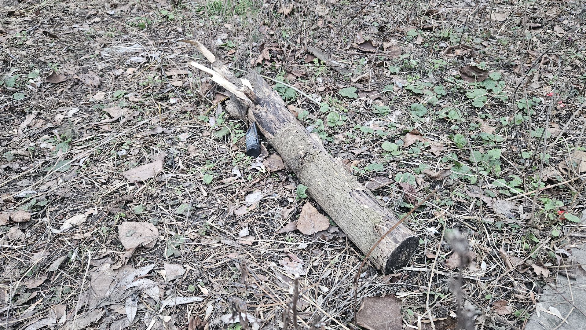 благоуйстройство, Жуковский, выездная администиация,