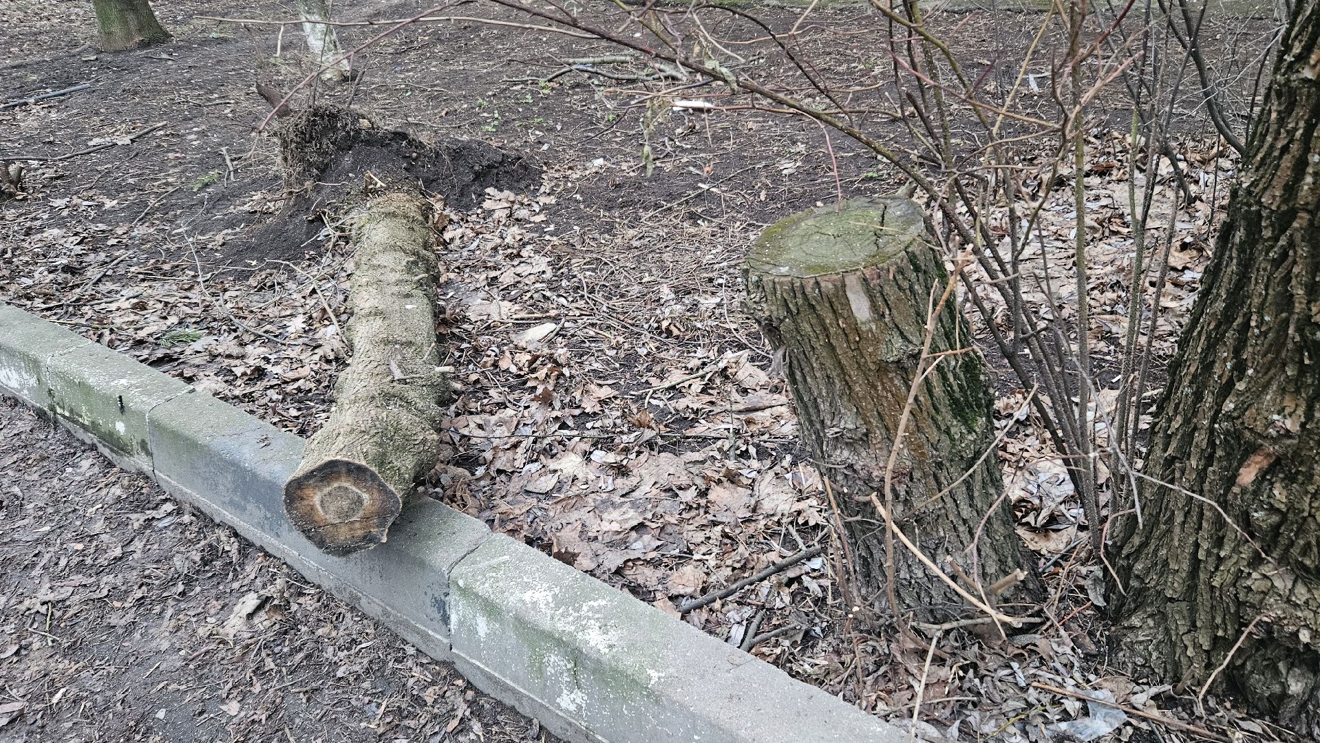 благоуйстройство, Жуковский, выездная администиация,