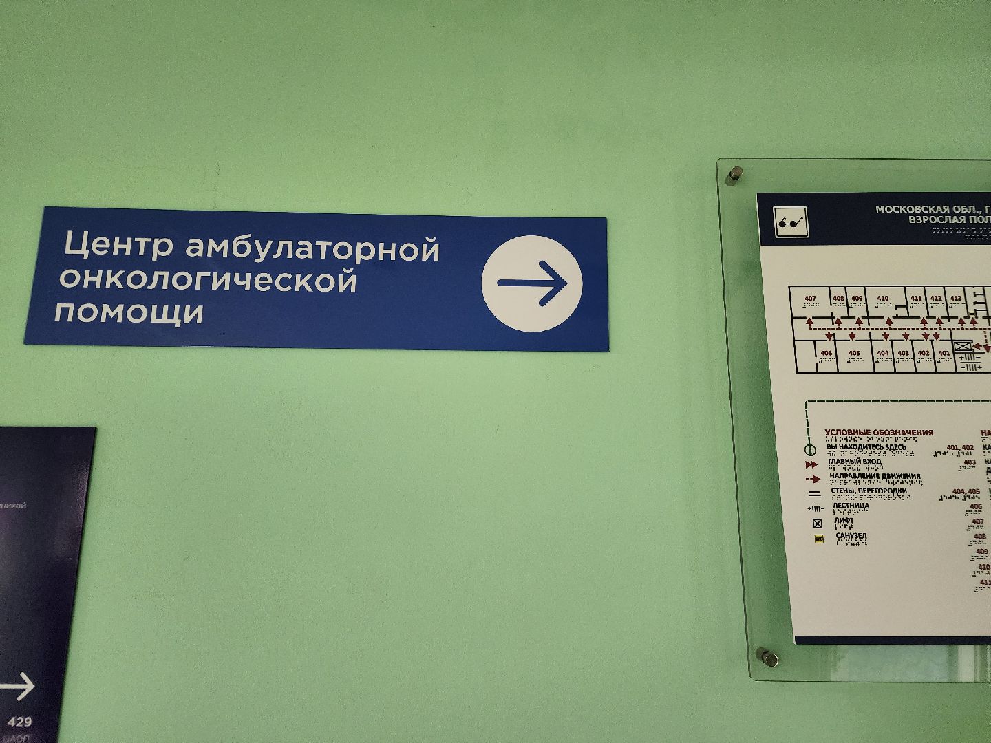 фрязино, медицина, онкологическая помощь, профилактика заболеваний, онкоскрининг, вертикалки,