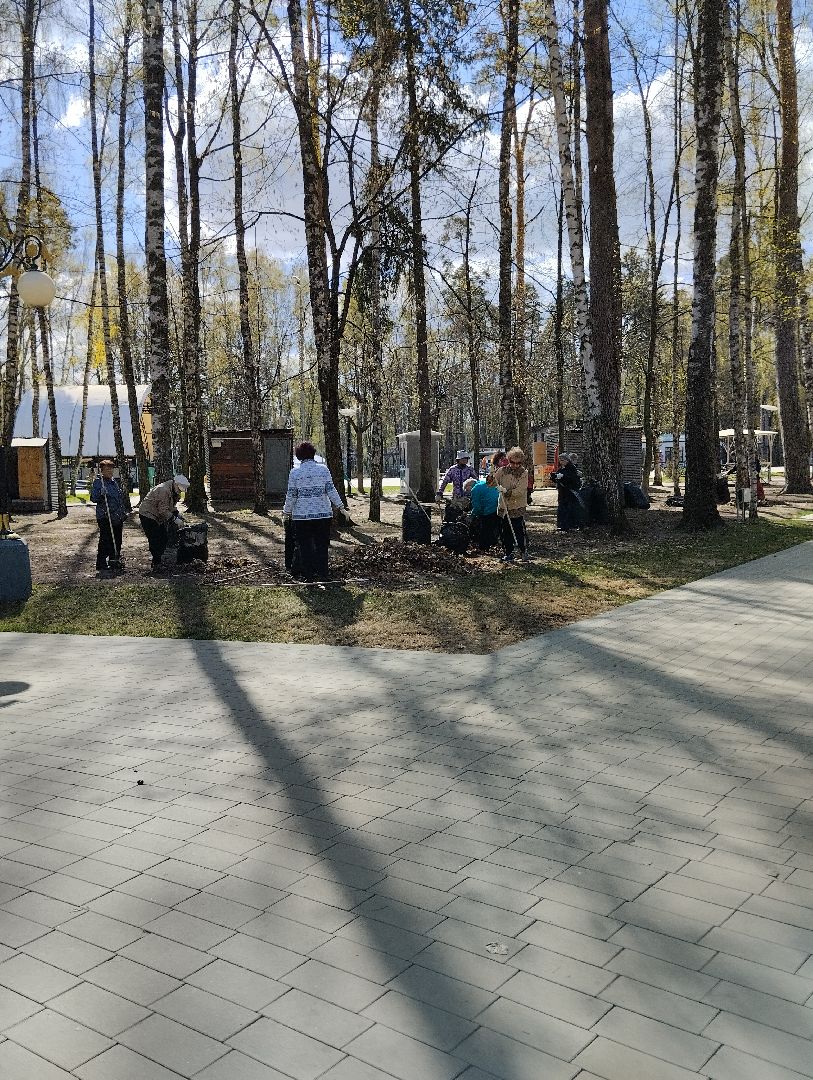 Благоустройство, всероссийский субботник, Ногинск, центральный парк, союз пенсионеров