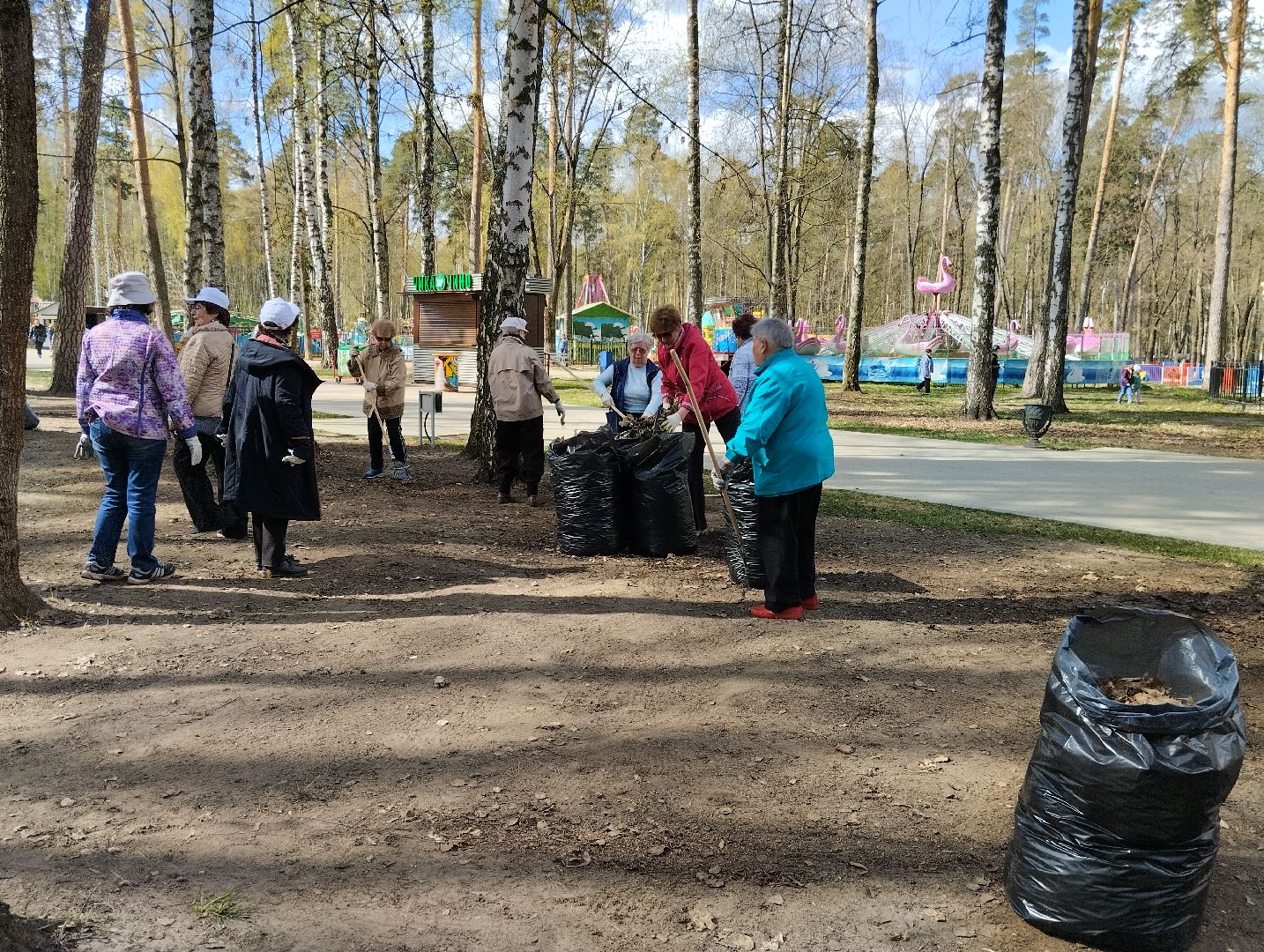 Благоустройство, всероссийский субботник, Ногинск, центральный парк, союз пенсионеров