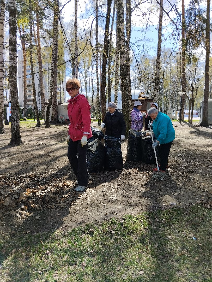 Благоустройство, всероссийский субботник, Ногинск, центральный парк, союз пенсионеров