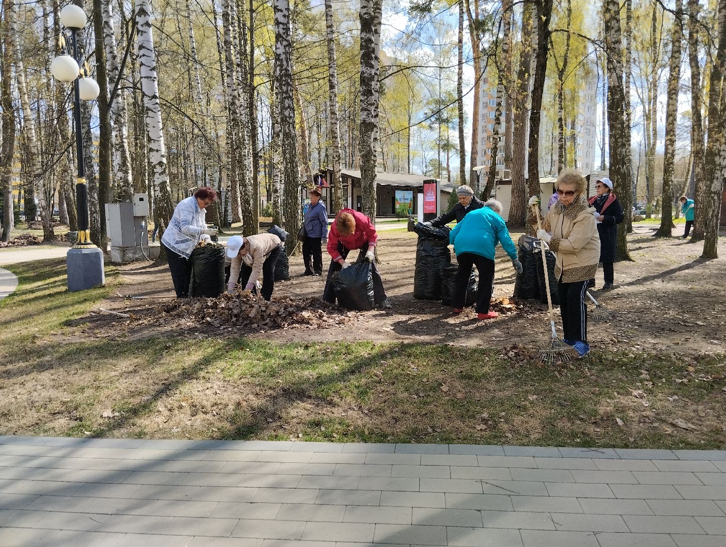 Благоустройство, всероссийский субботник, Ногинск, центральный парк, союз пенсионеров