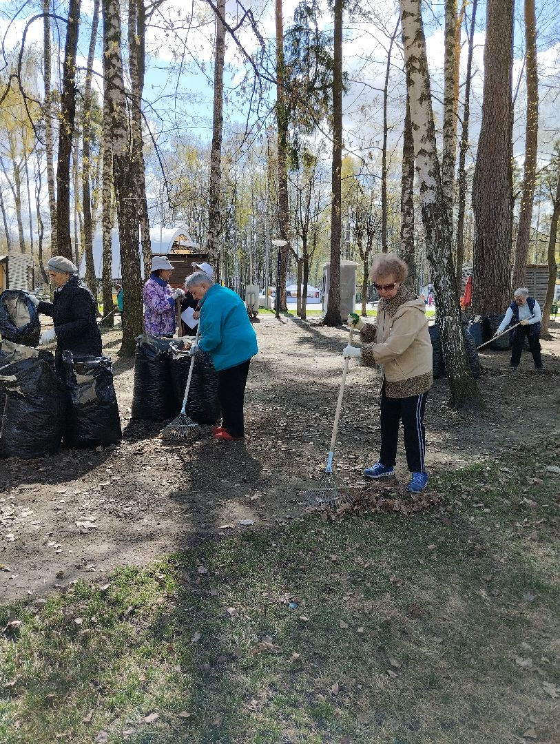 Благоустройство, всероссийский субботник, Ногинск, центральный парк, союз пенсионеров