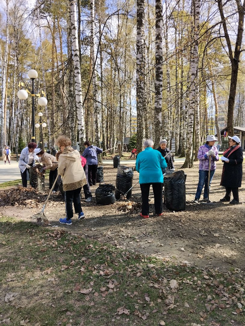 Благоустройство, всероссийский субботник, Ногинск, центральный парк, союз пенсионеров