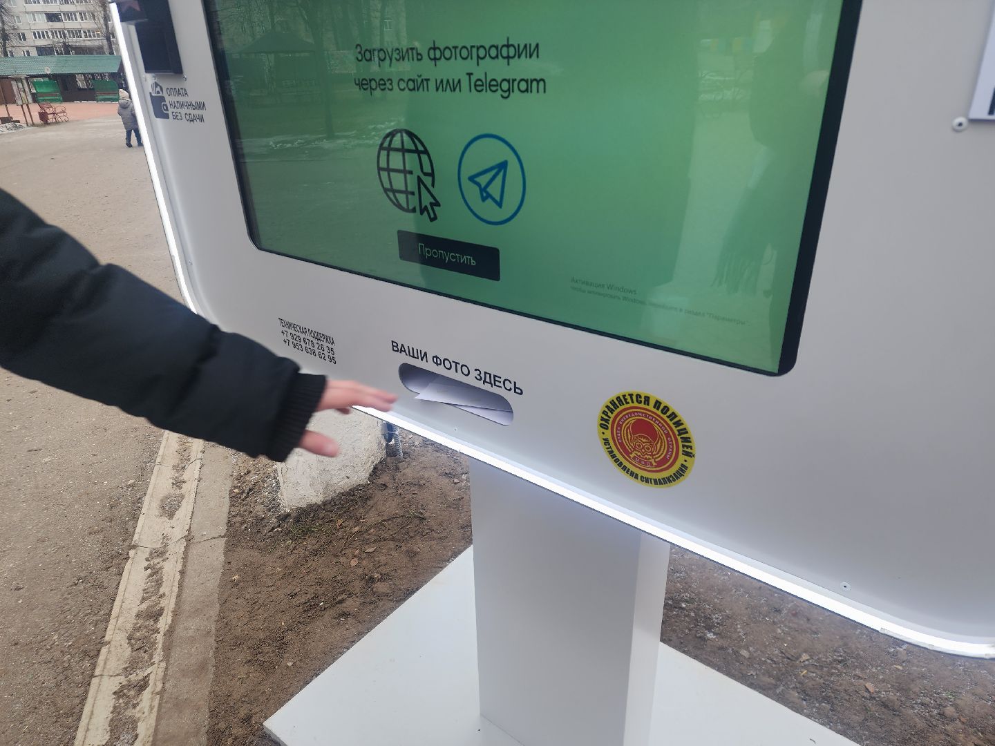 вертикалки, фото, парк, благоустройство,