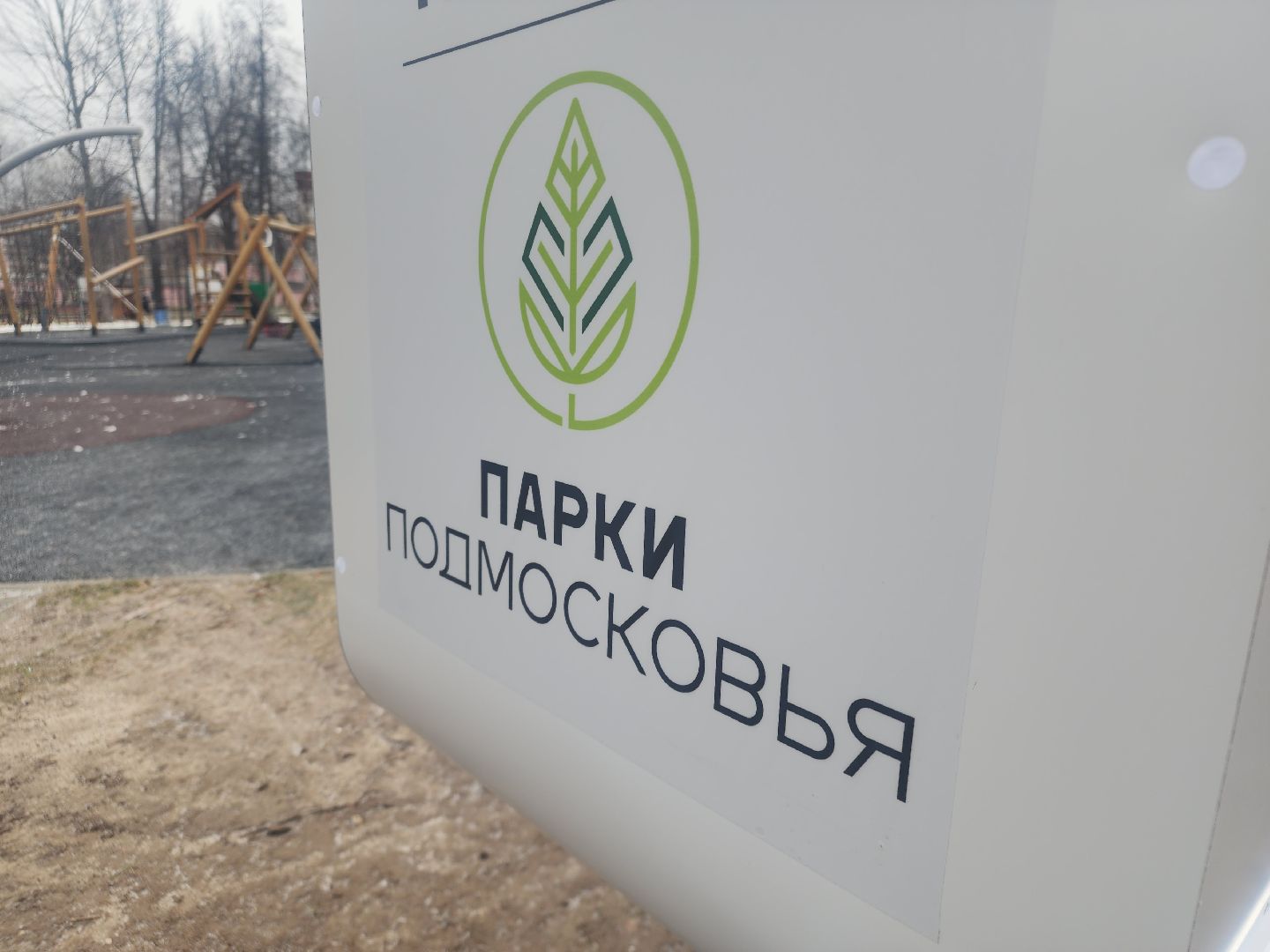 вертикалки, фото, парк, благоустройство,