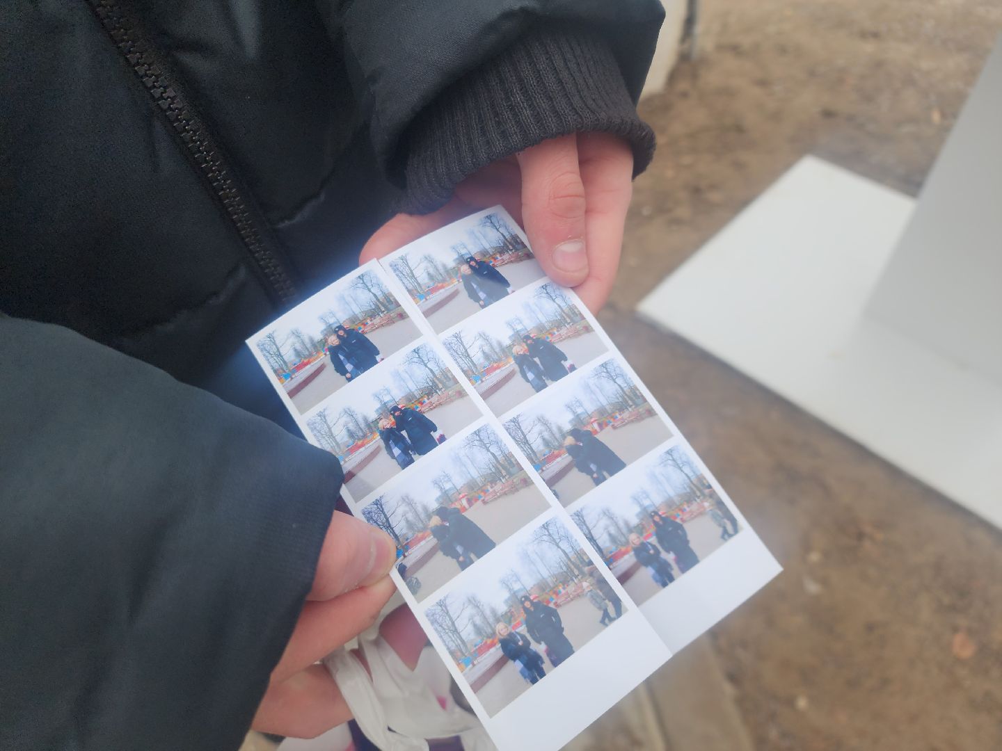 вертикалки, фото, парк, благоустройство,