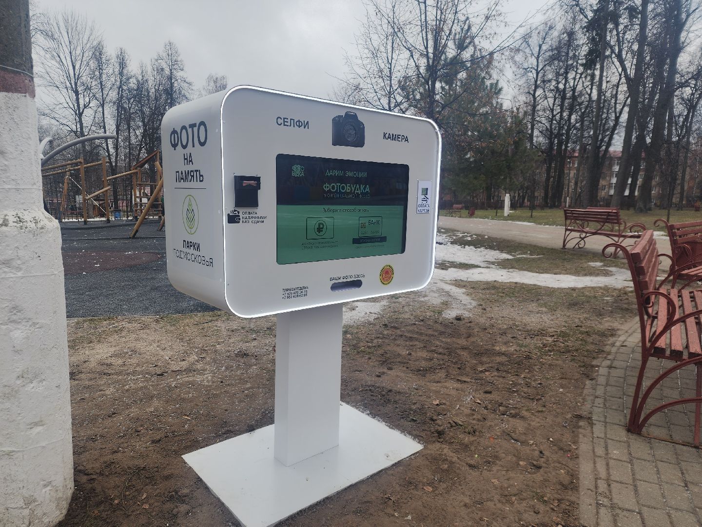 вертикалки, фото, парк, благоустройство,