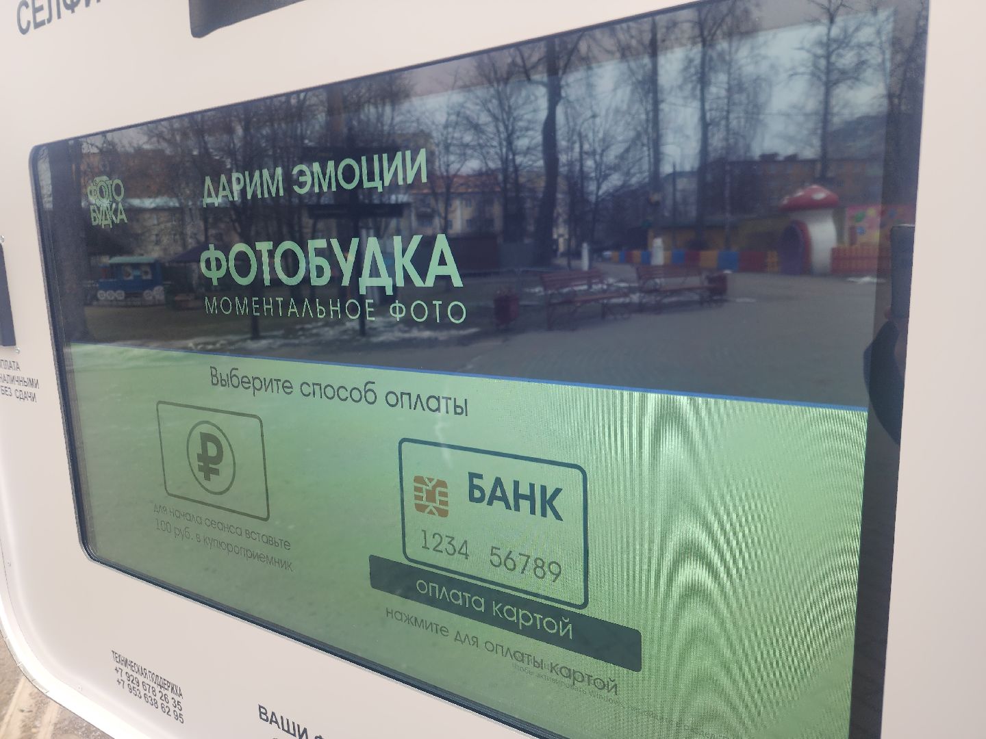 вертикалки, фото, парк, благоустройство,