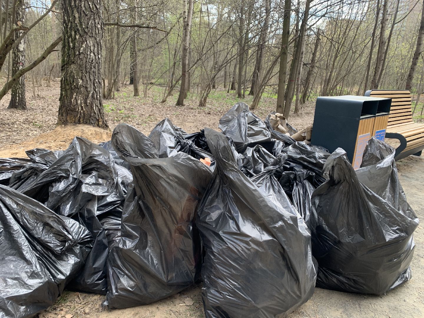 Балашиха, Подмосковье, субботники, Ольгинский лесопарк