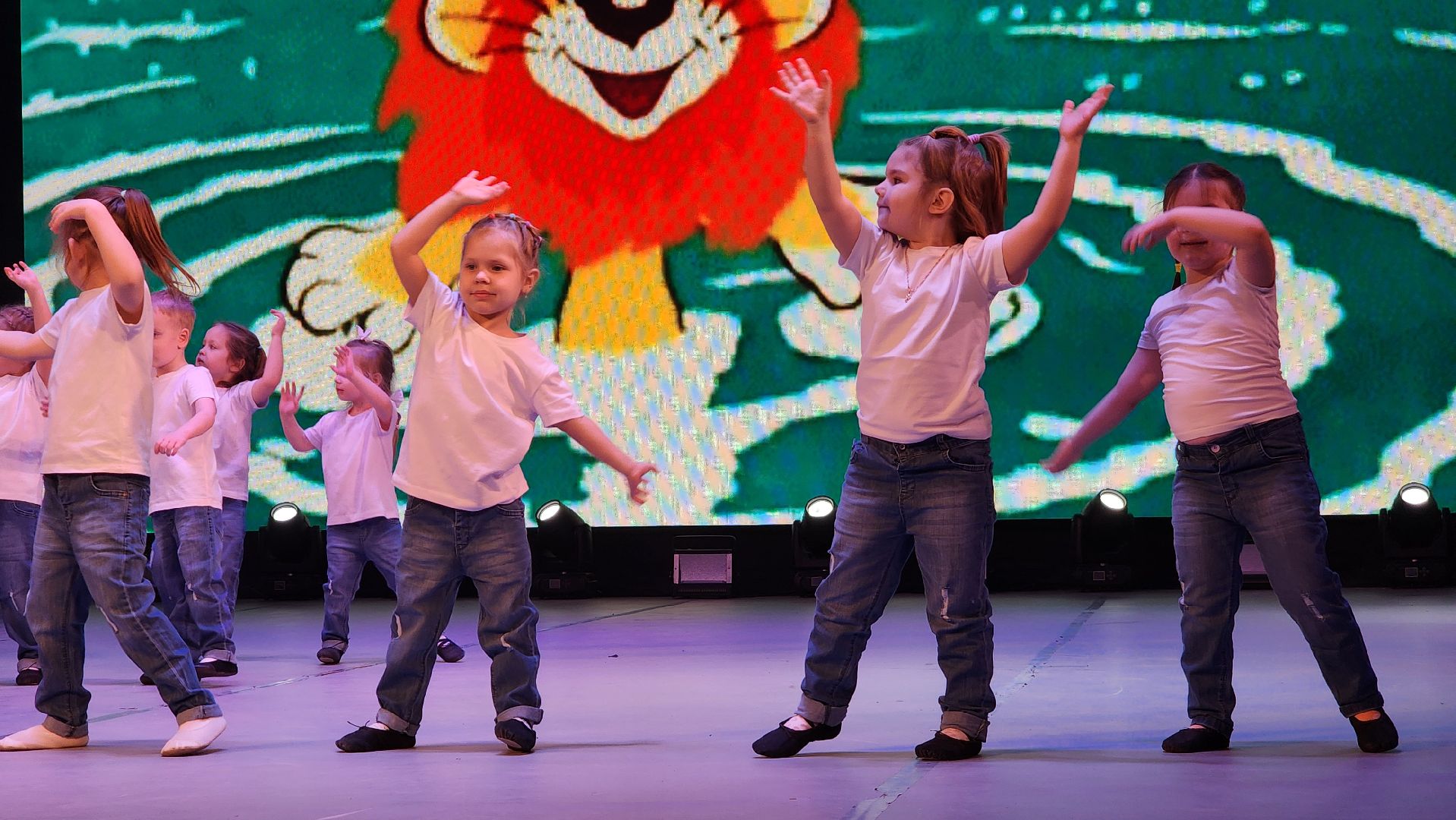 ступино, концерт в поддержку сво, культура,