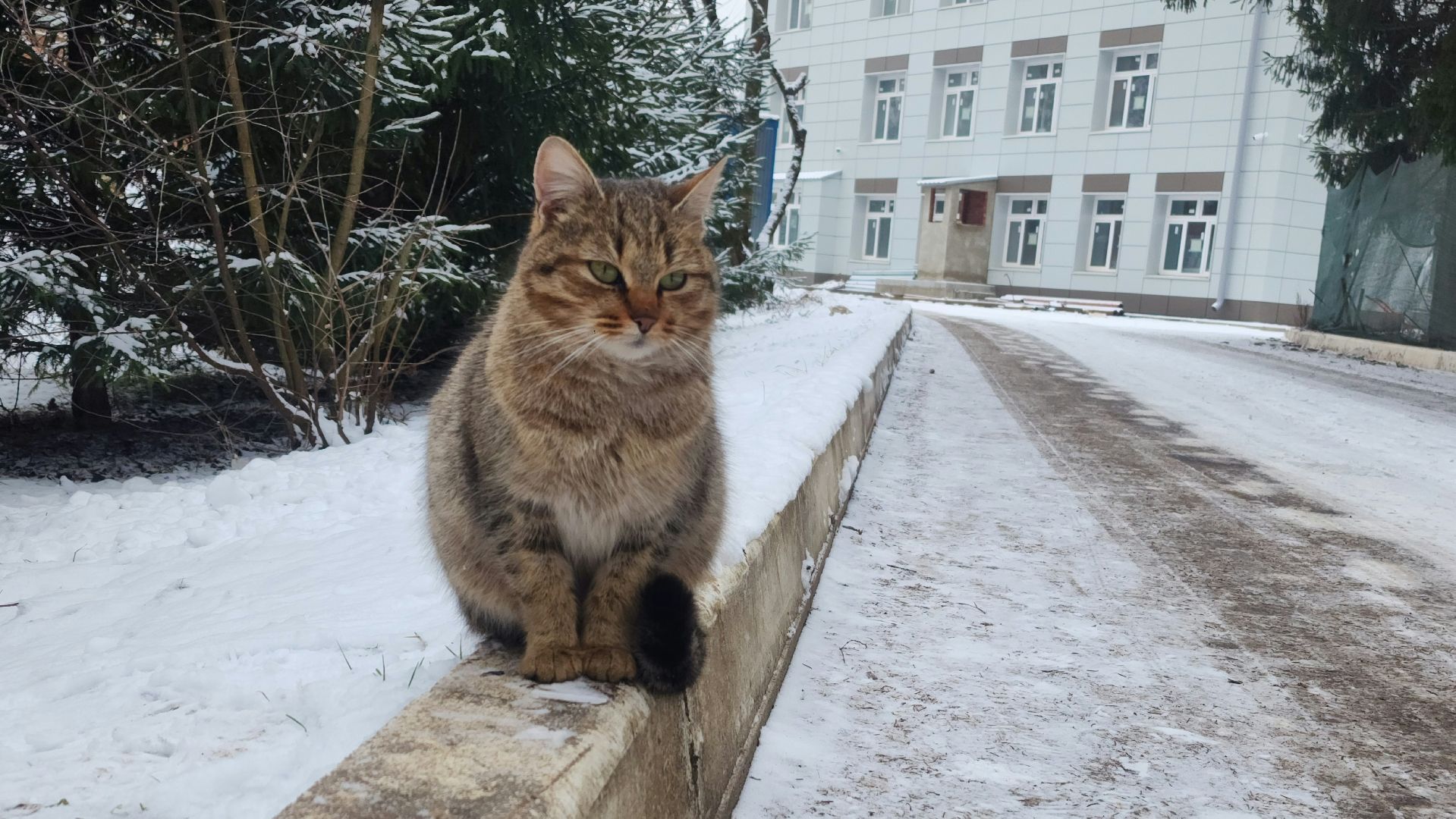 волоколамск, медицина, здравоохранение подмосковья, ремонт больницы,