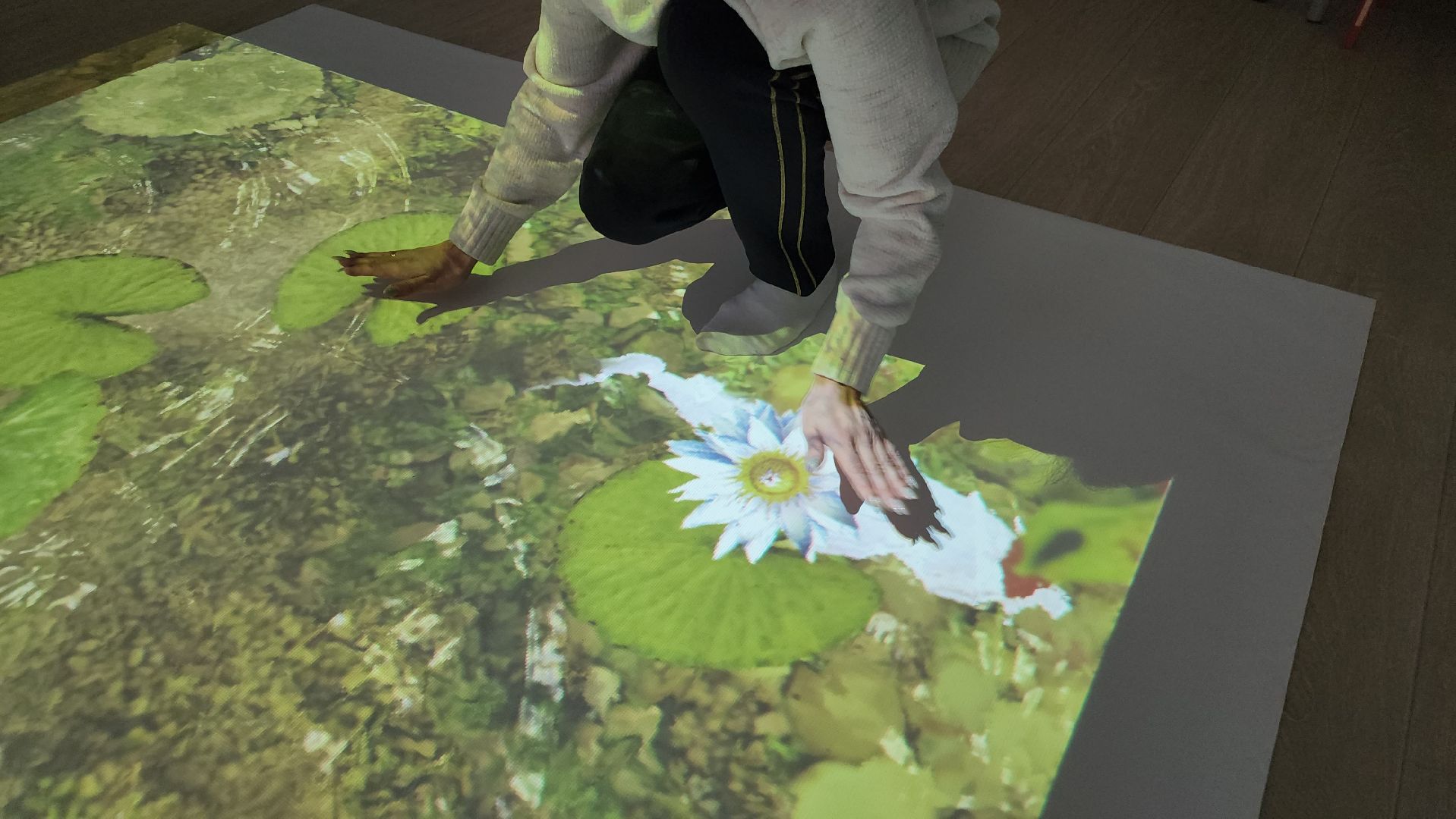 вертикалки, детские сады, орехово-зуево, интерактивный пол, дети,