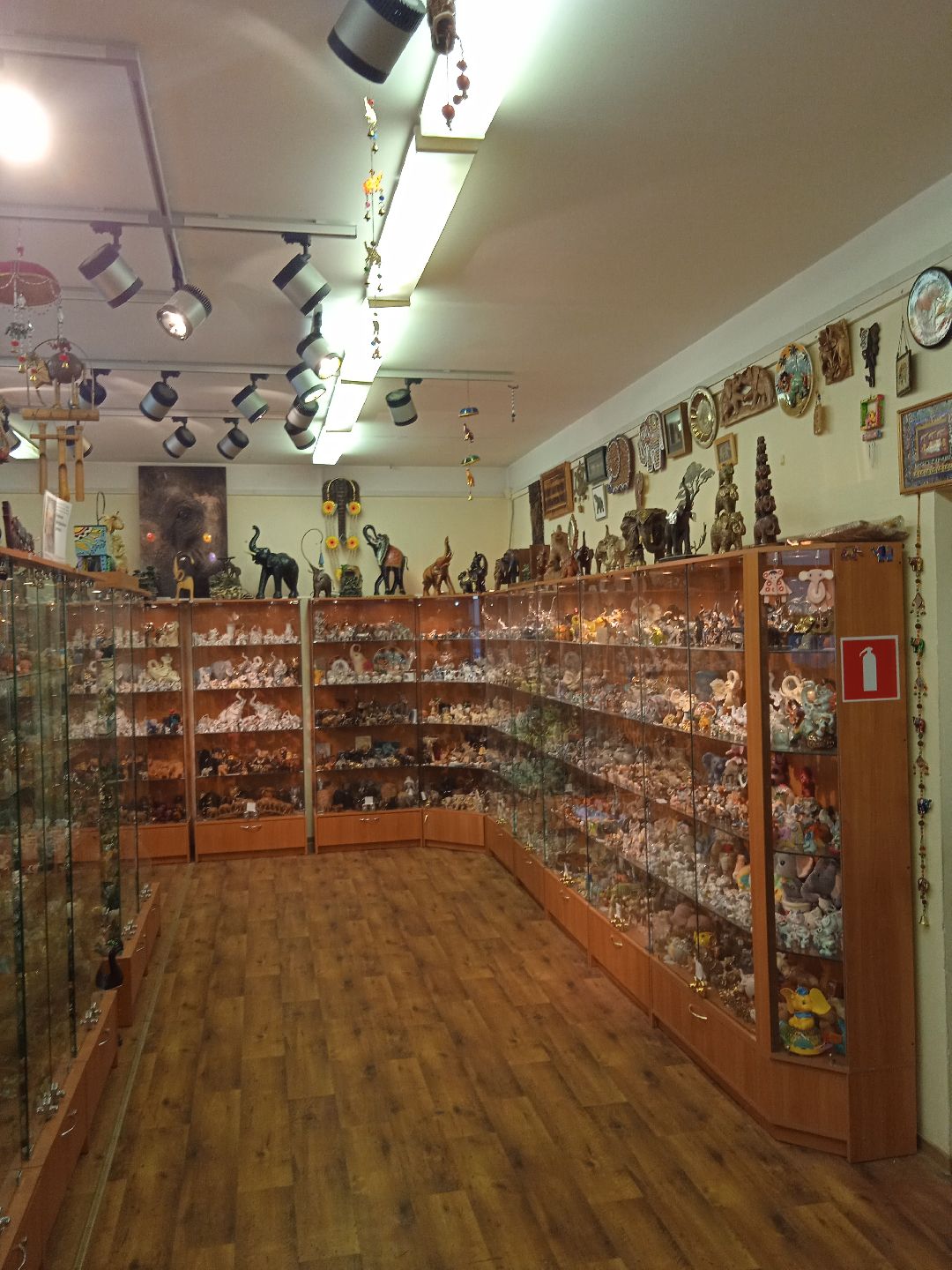 Жуковский, общество