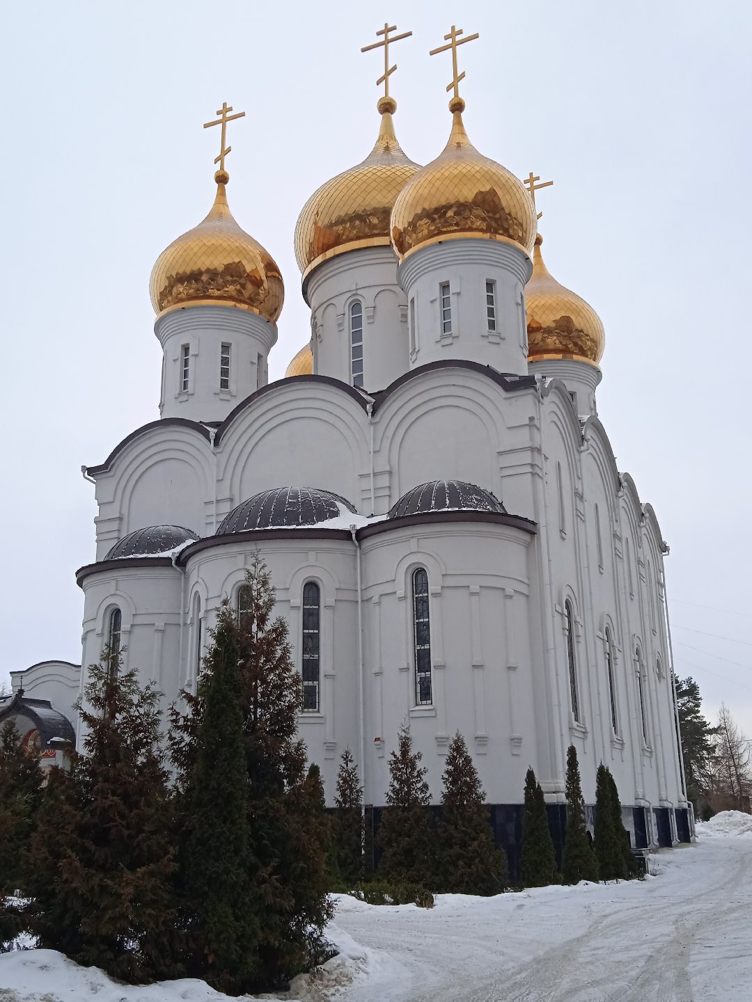 Жуковский, общество