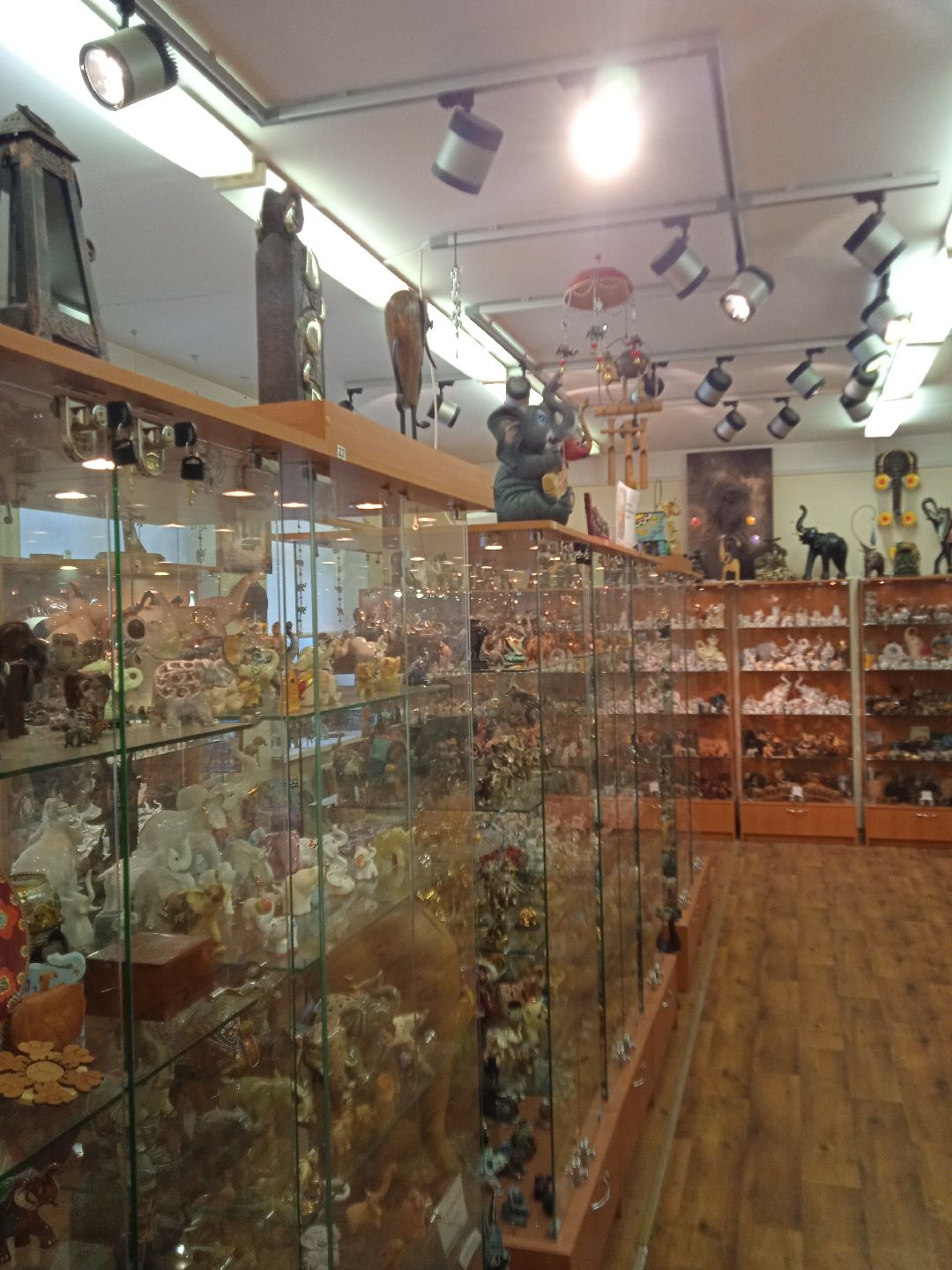 Жуковский, общество