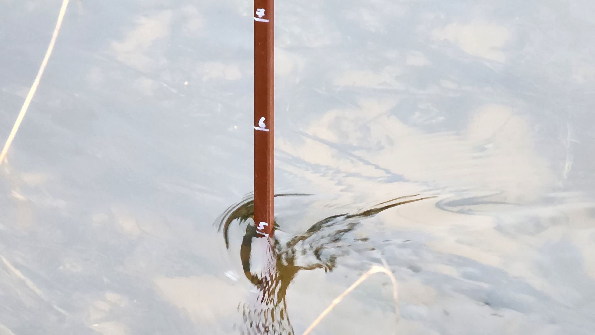 руза, паводковый сезон, безопасность, го чс рузы, рузский муниципальный округ, вертикалки,