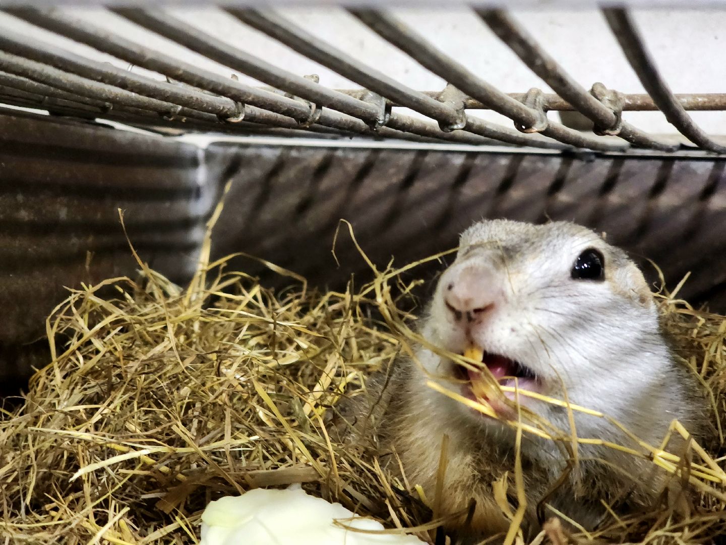 пущино, наука, серпухов, ученые, день науки,