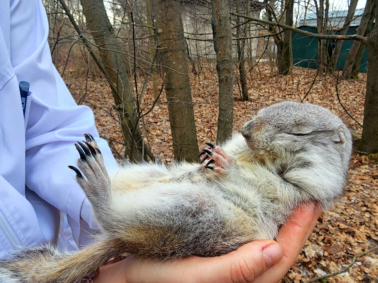 пущино, наука, серпухов, ученые, день науки,