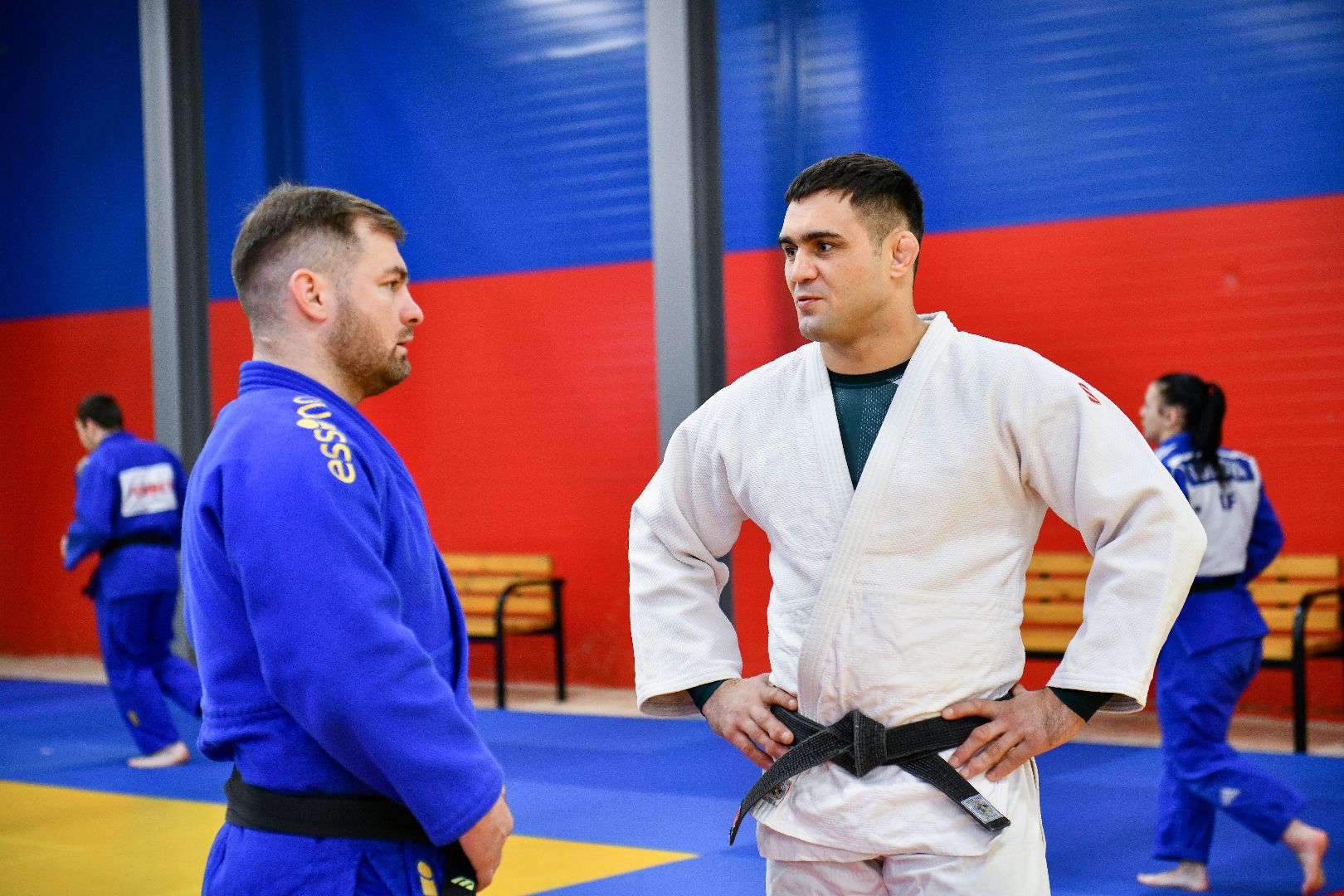 спорт, единоборства, зал, вертикалки,