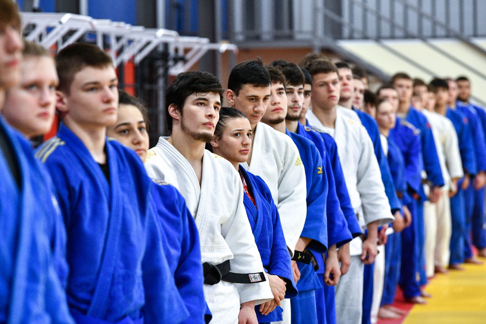 спорт, единоборства, зал, вертикалки,