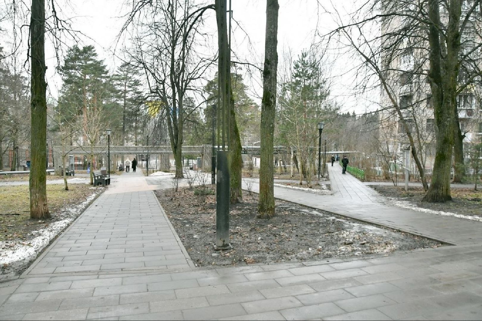 выход на тонкий лед, Власиха Верхнее озеро, Власиха цветной бульвар, набережная верхнее озеро, обход территории, добродел,вертикалка,