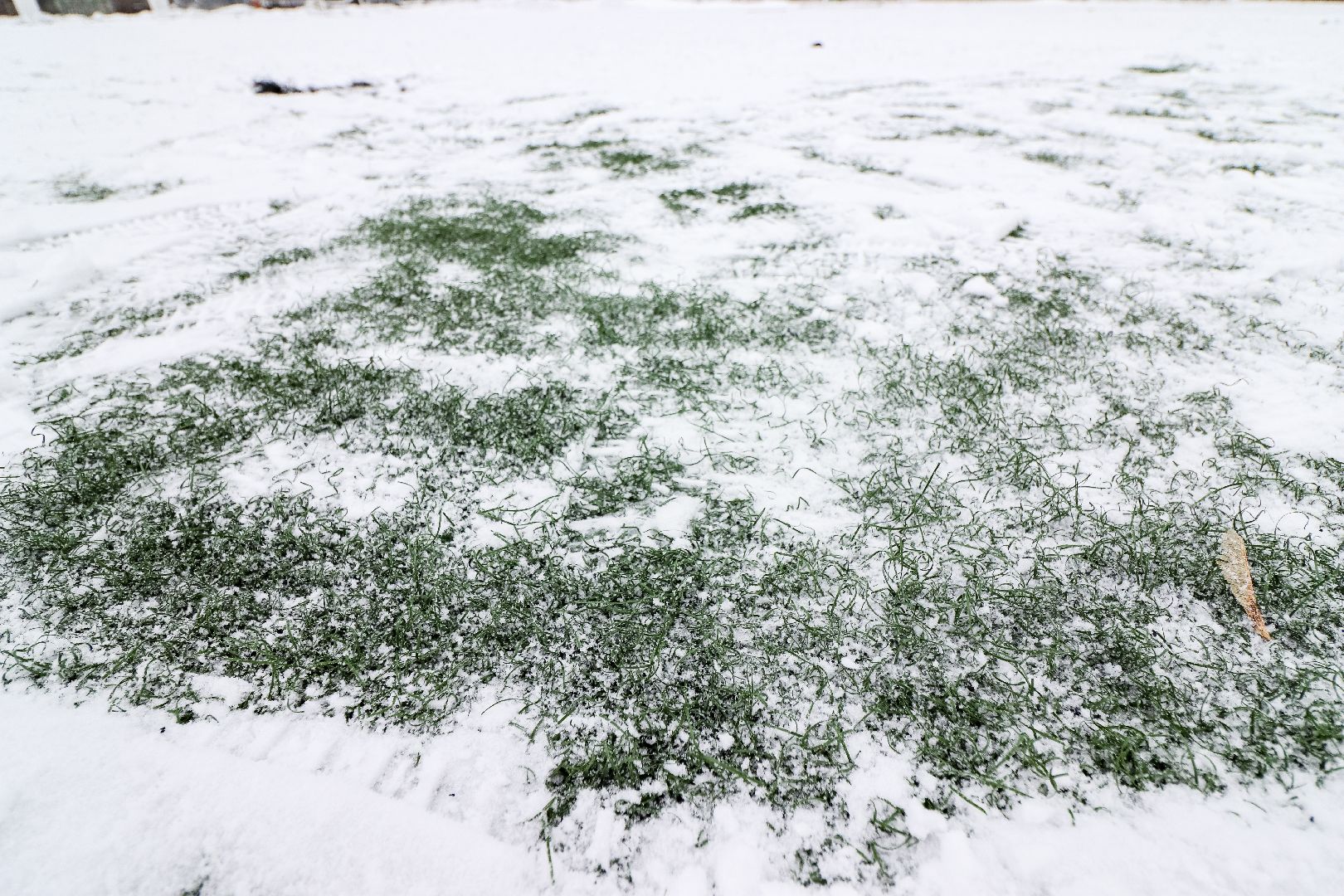 Клин, общество, строительство, новый стадион, благоустройство, спорт, футбол, Подмосковье, вертикалки,