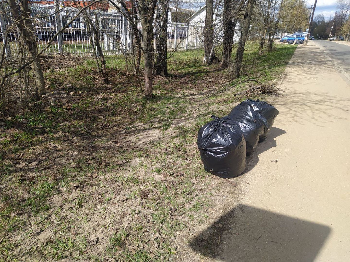 Дедовск, субботник, уборка, благоустройство