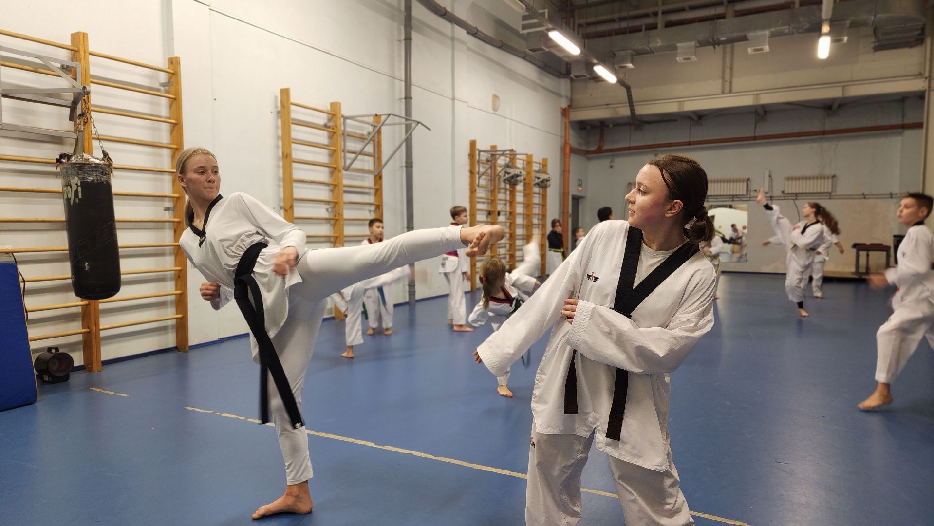 спорт, тхэквондо, Первенство России по тхэквондо, Лосино-Петровский,