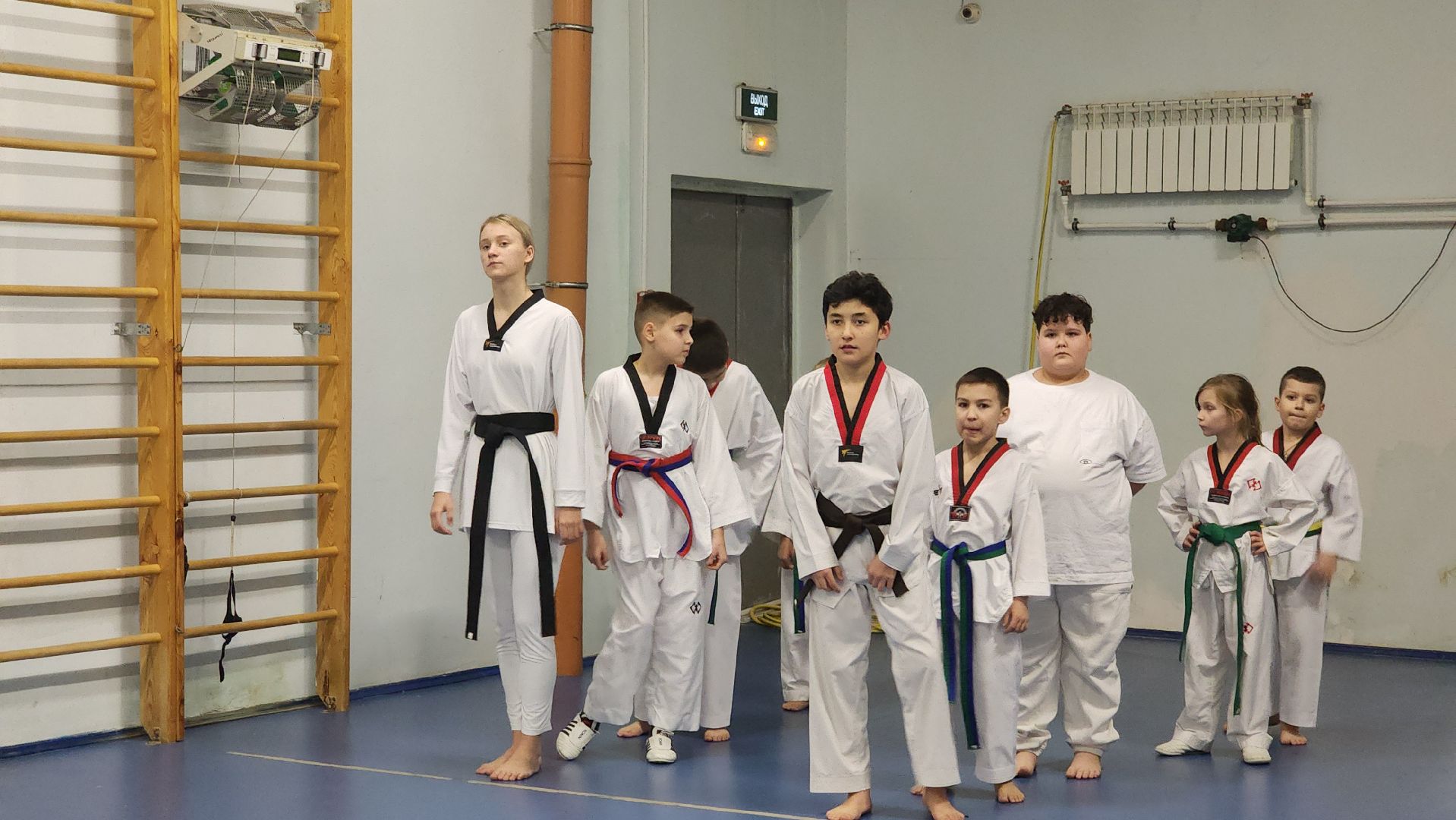 спорт, тхэквондо, Первенство России по тхэквондо, Лосино-Петровский,