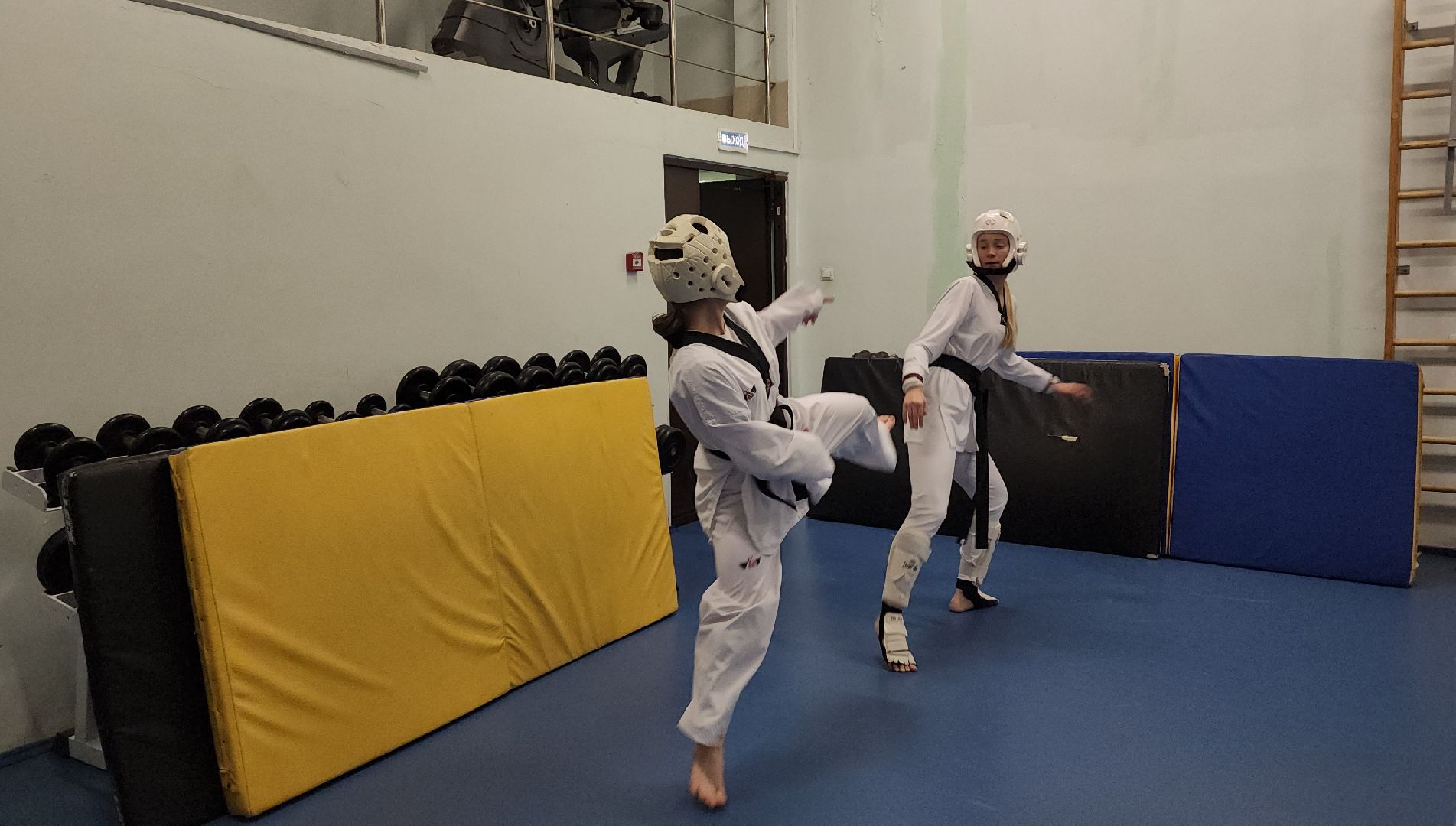 спорт, тхэквондо, Первенство России по тхэквондо, Лосино-Петровский,