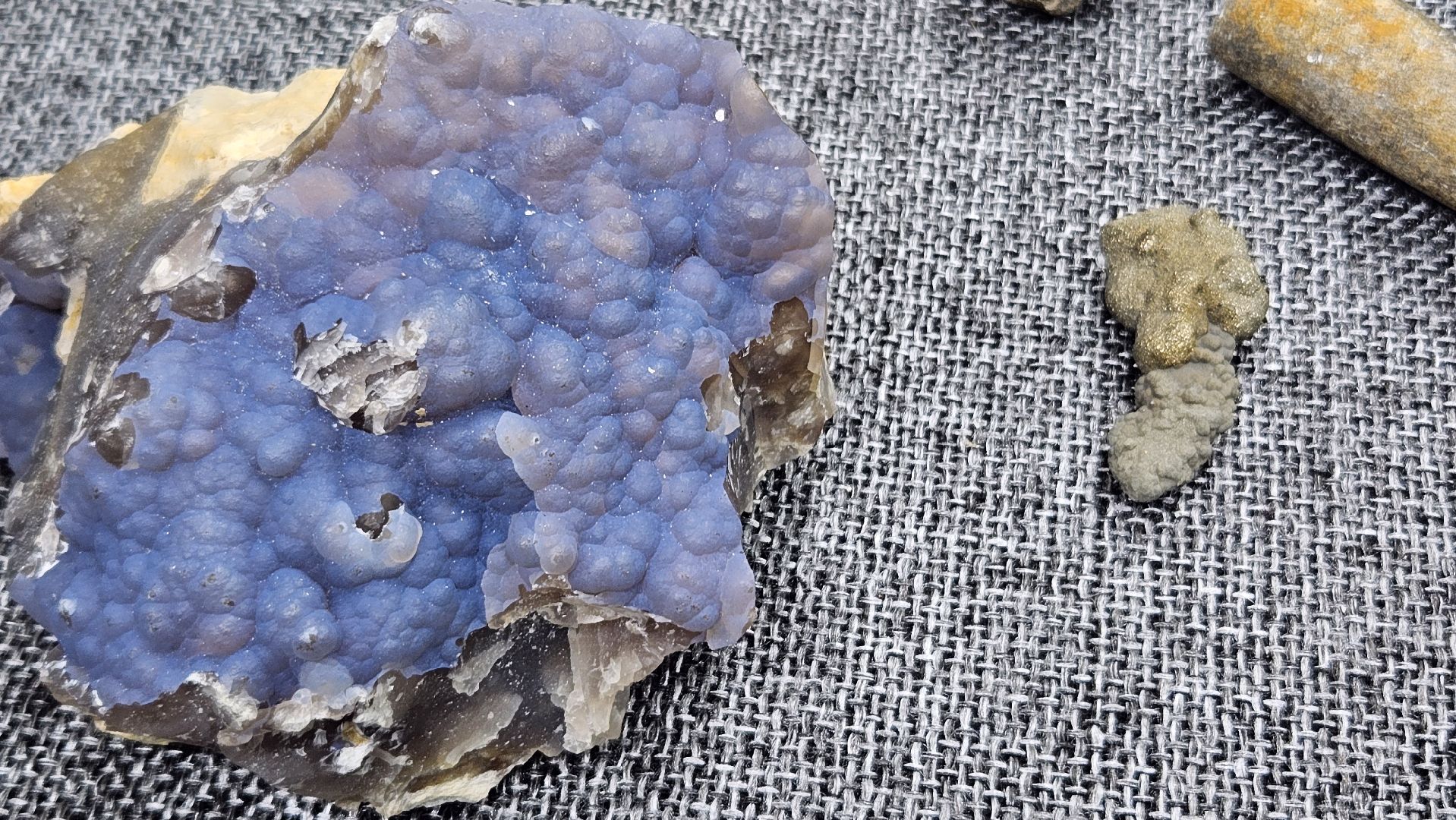 жуковский, лекция, ископаемые,