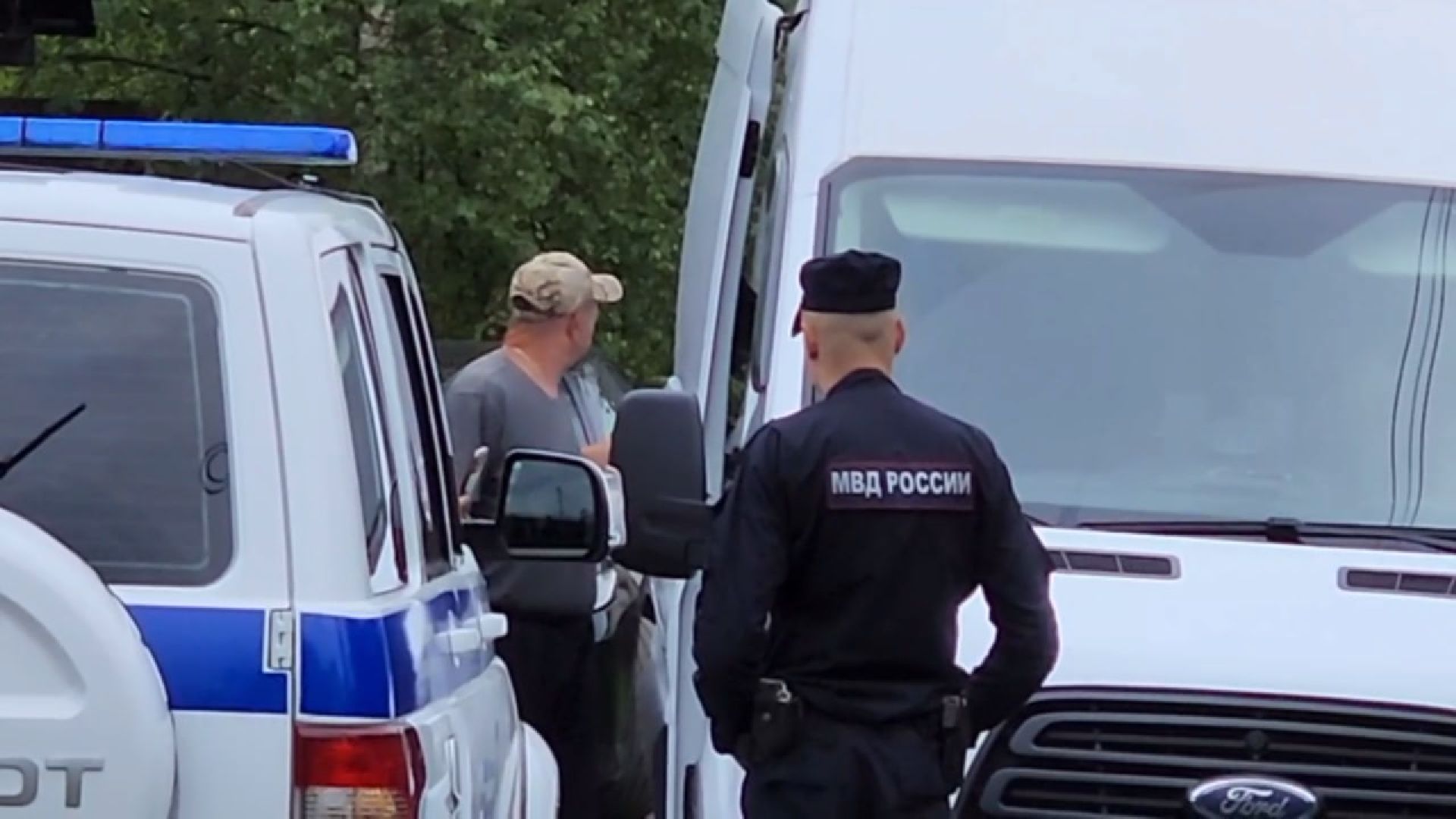 пушкинский округ, животные, тигр,