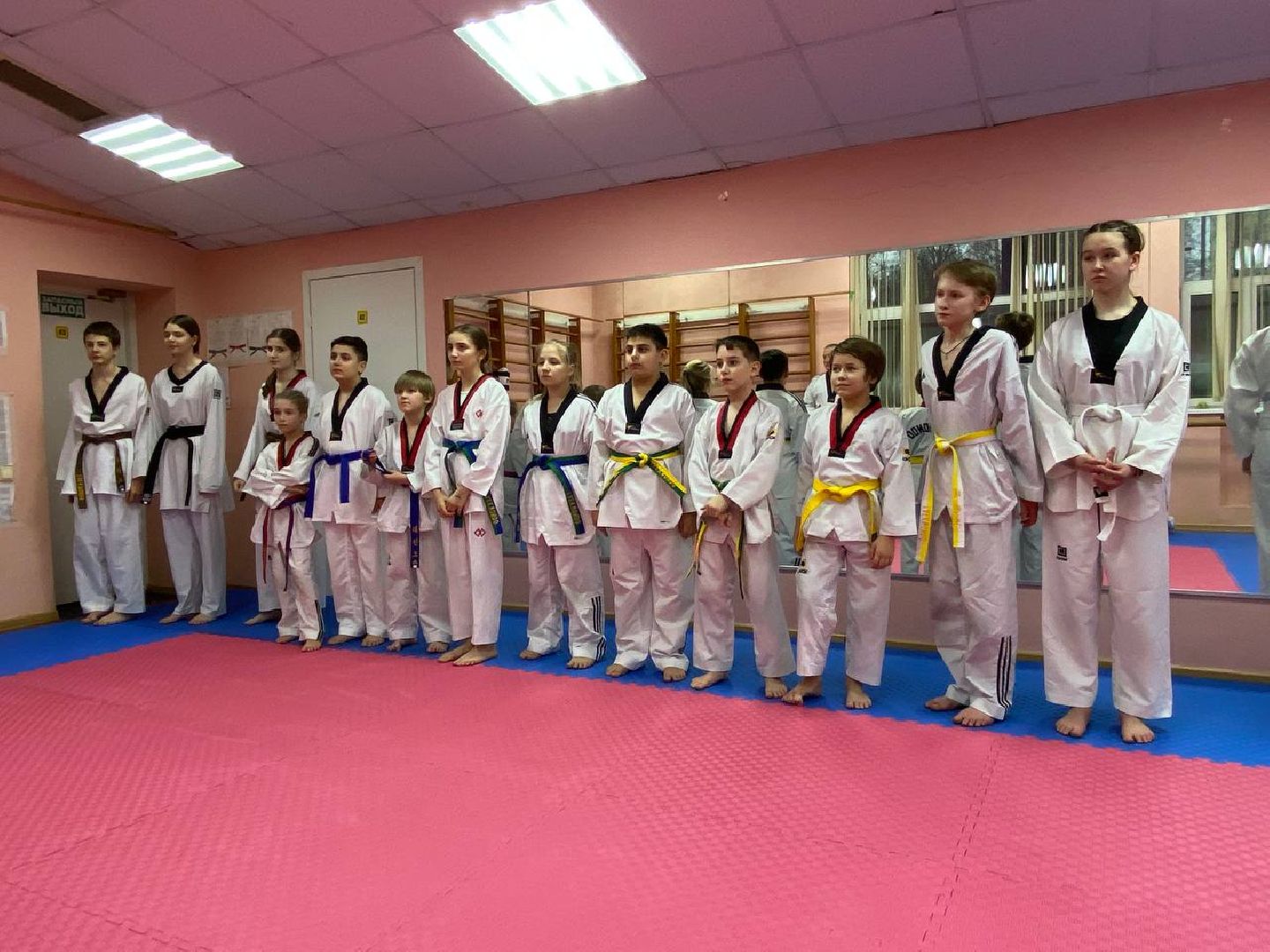 вертикалки, зоркий, тхэквондо, открытыйтурнир, первенствопотхэквондо, тхэквондокрансногорск,