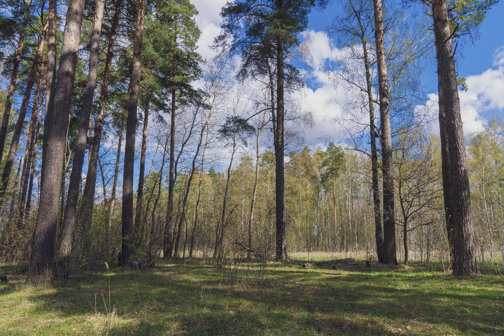 Благоустройство территорий, городская среда, голосование