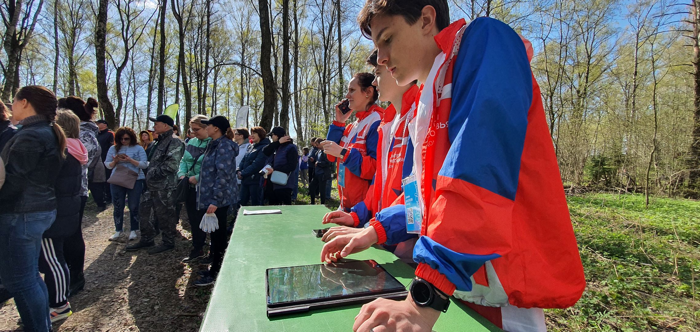 Благоустройство территорий, городская среда, голосование