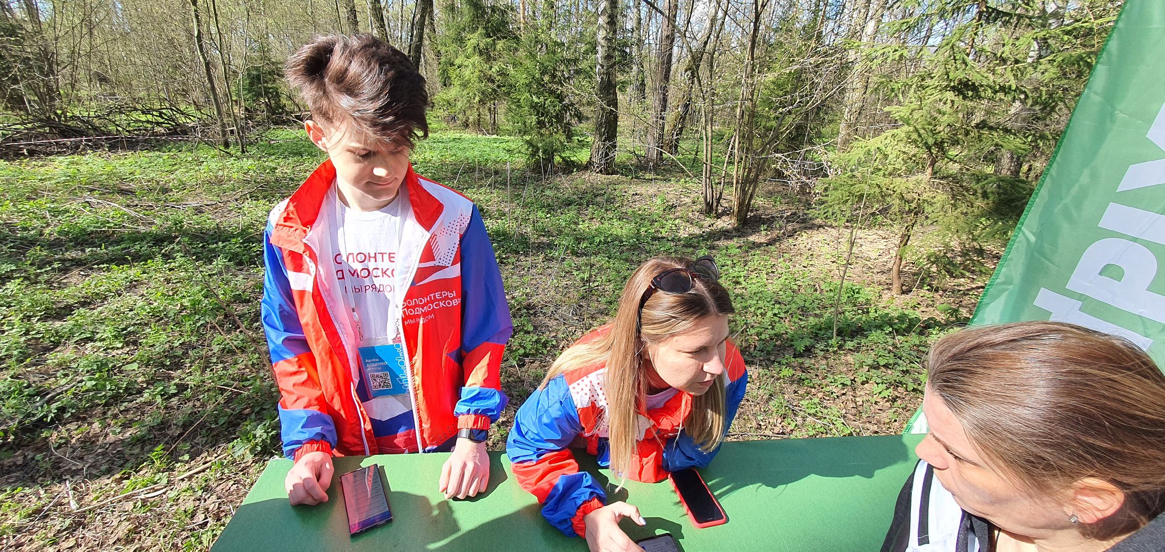 Благоустройство территорий, городская среда, голосование
