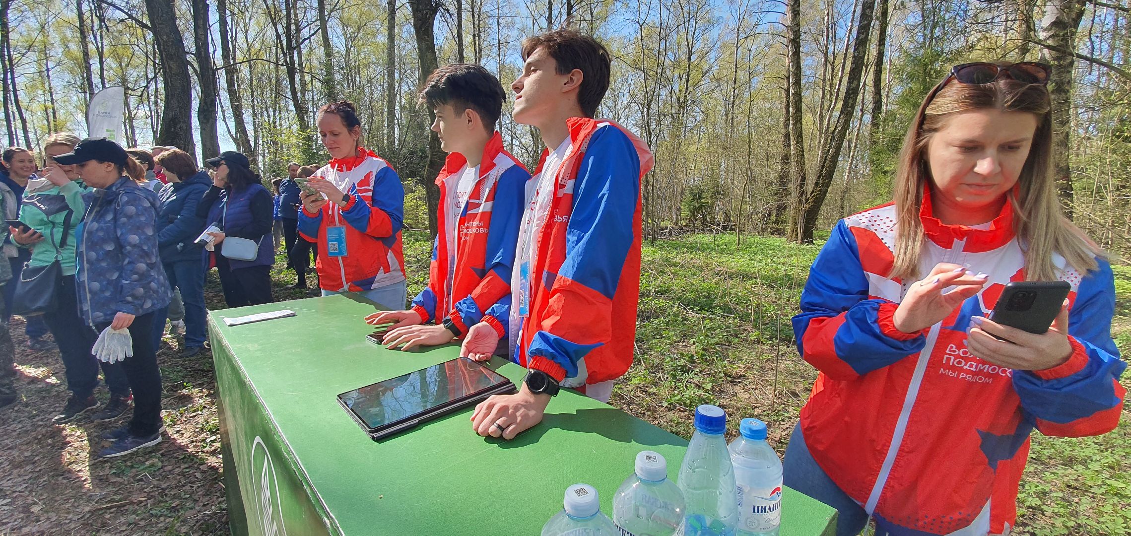 Благоустройство территорий, городская среда, голосование