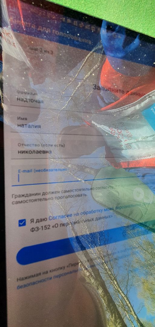 Благоустройство территорий, городская среда, голосование