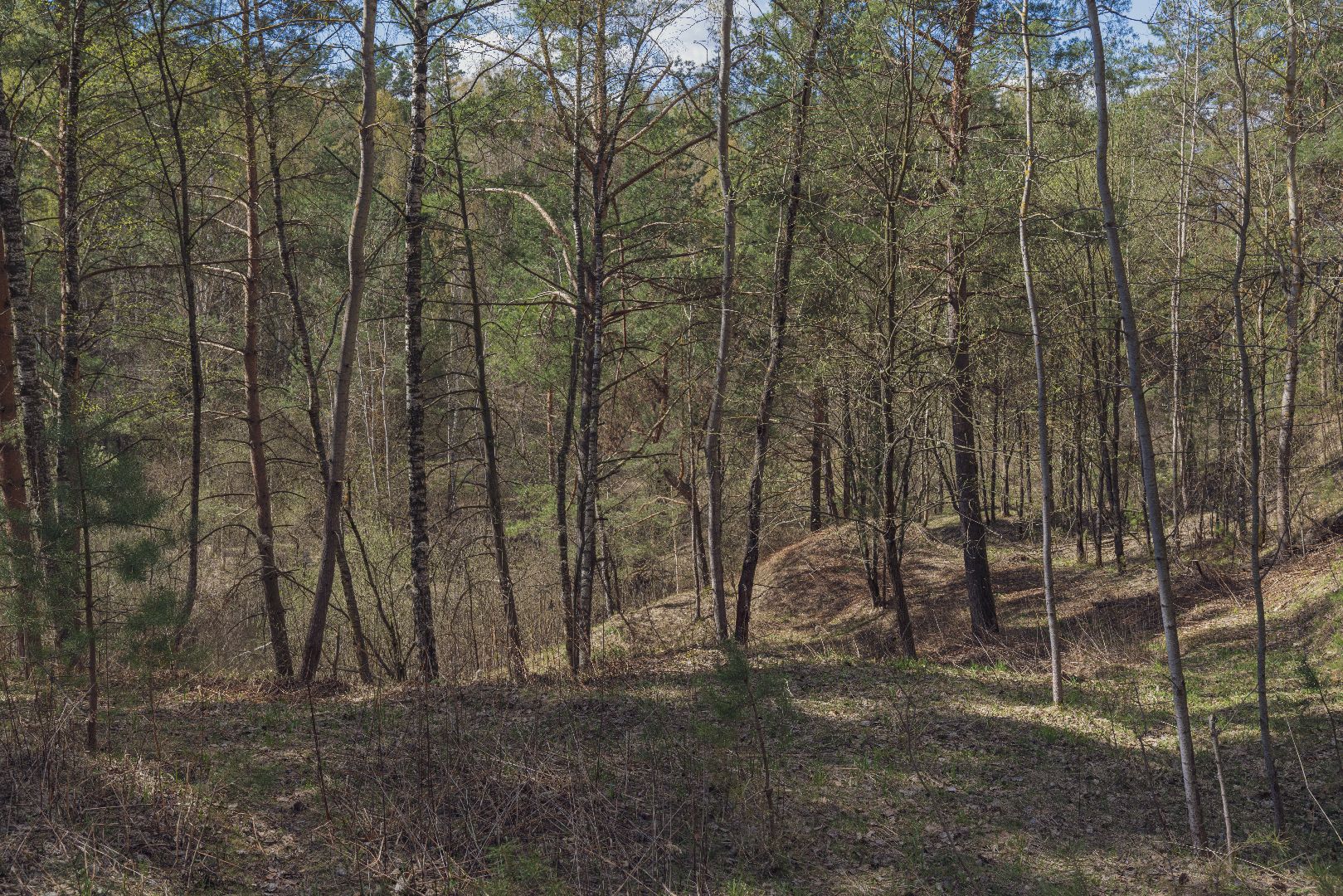 Благоустройство территорий, городская среда, голосование