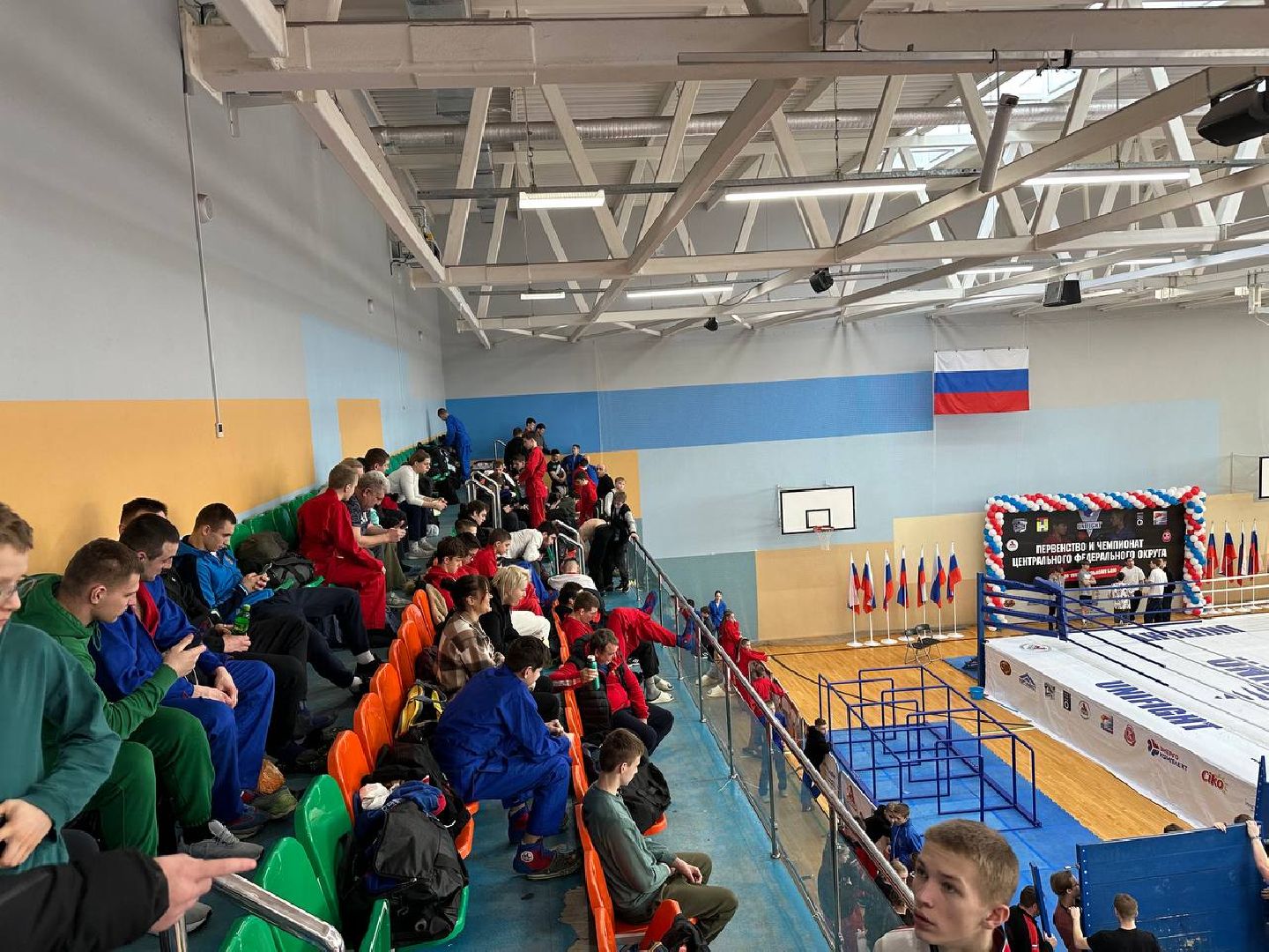 спорт, чемпионат, бои,