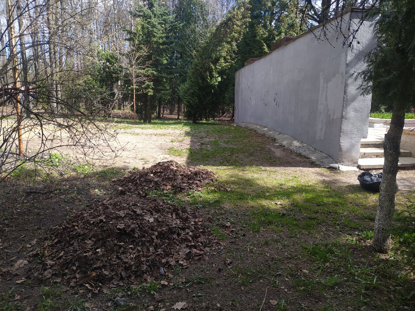 субботник, Дедовск, парк, памятник, уборка, благоустройство