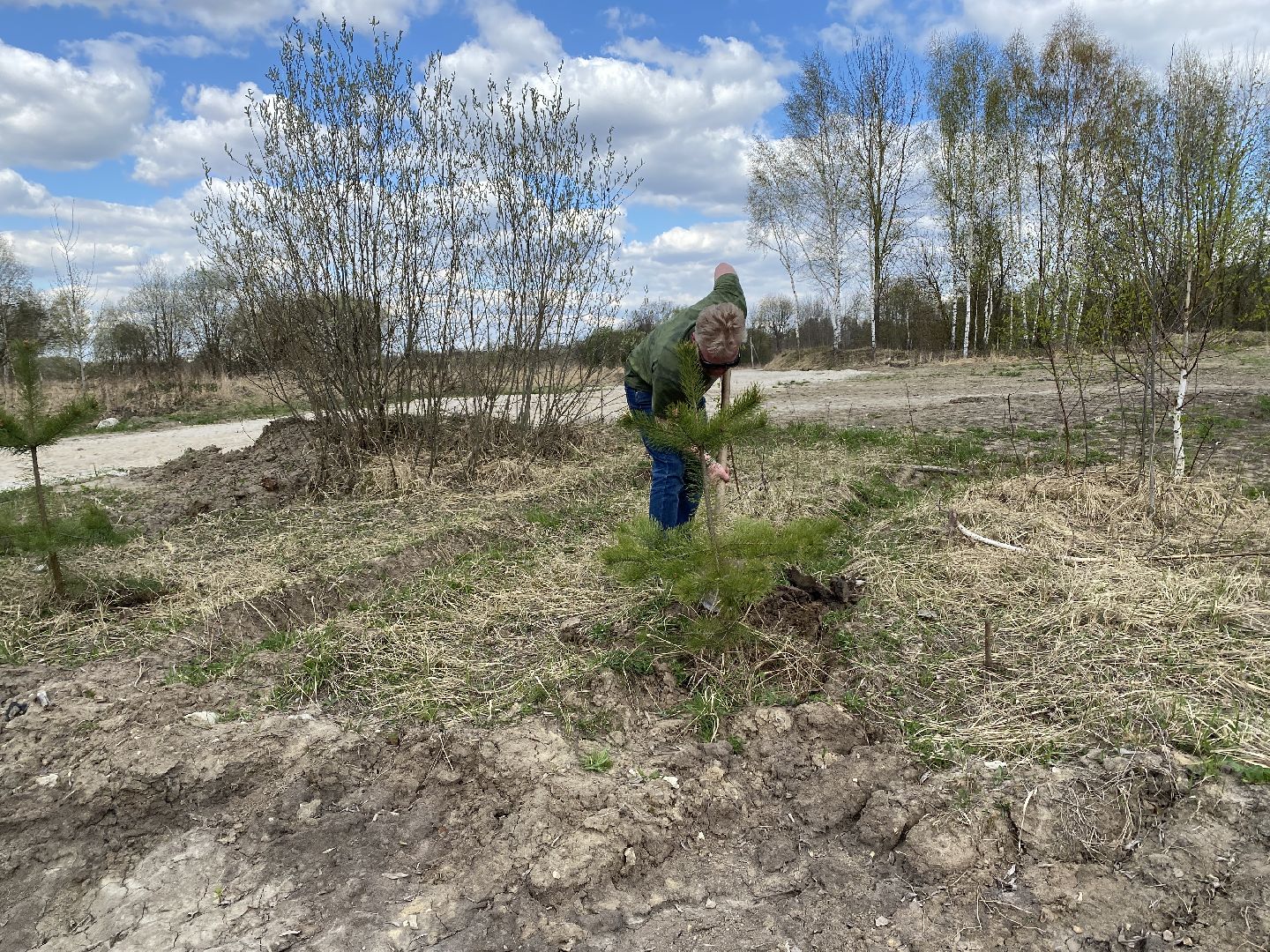 Чехов, благоустройство, парк, житель, дерево