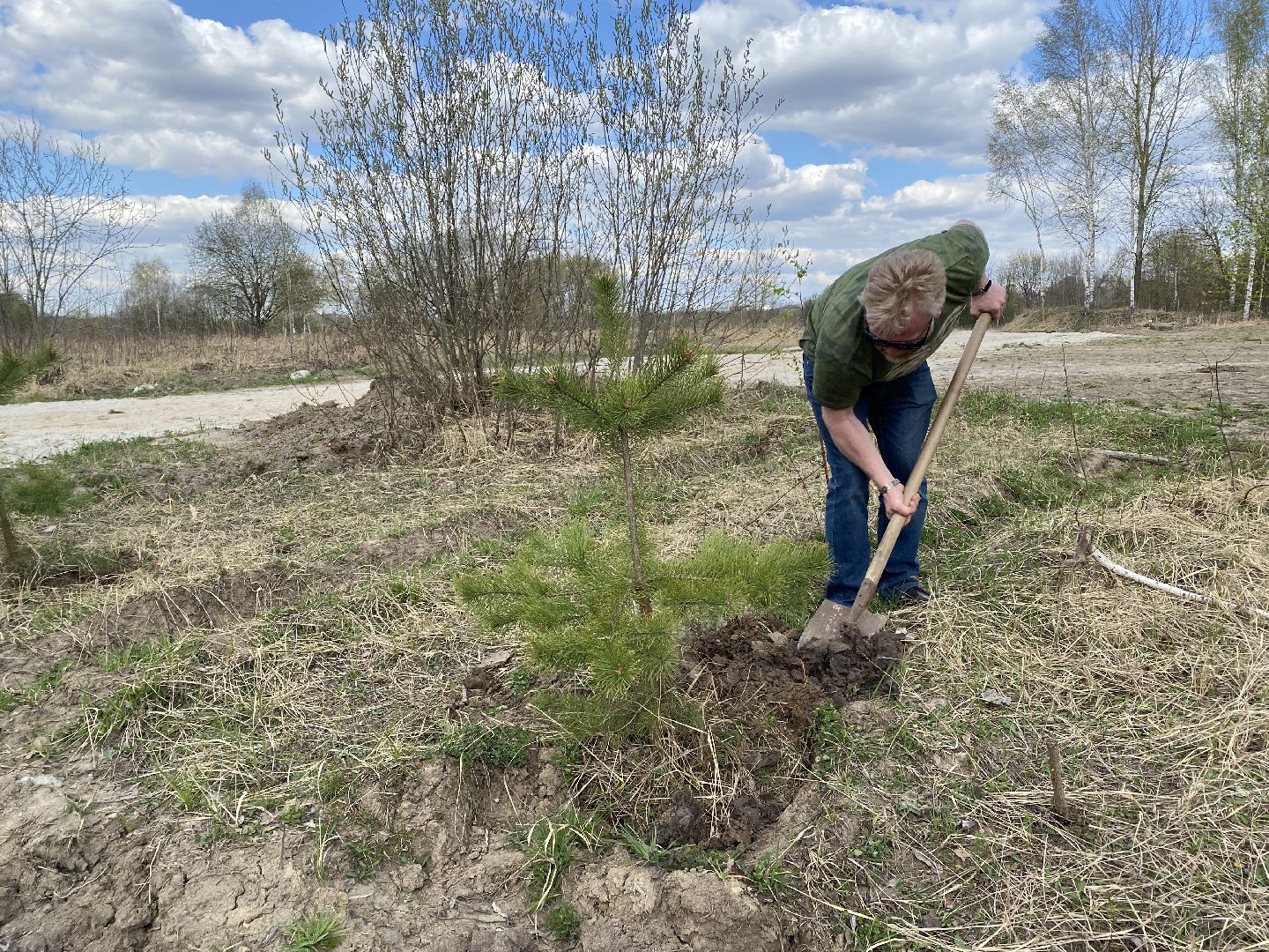 Чехов, благоустройство, парк, житель, дерево