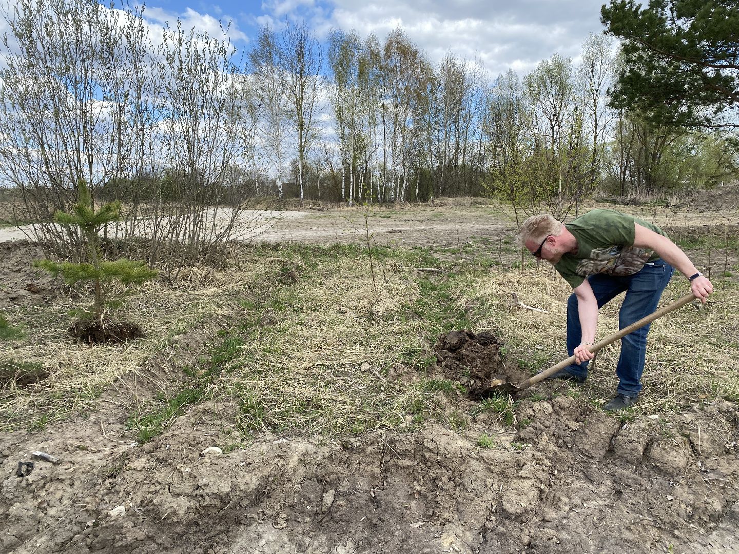 Чехов, благоустройство, парк, житель, дерево